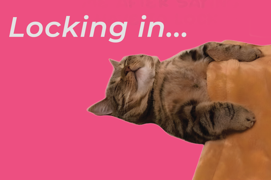Stickers Your Cat Would Put on Their Laptops