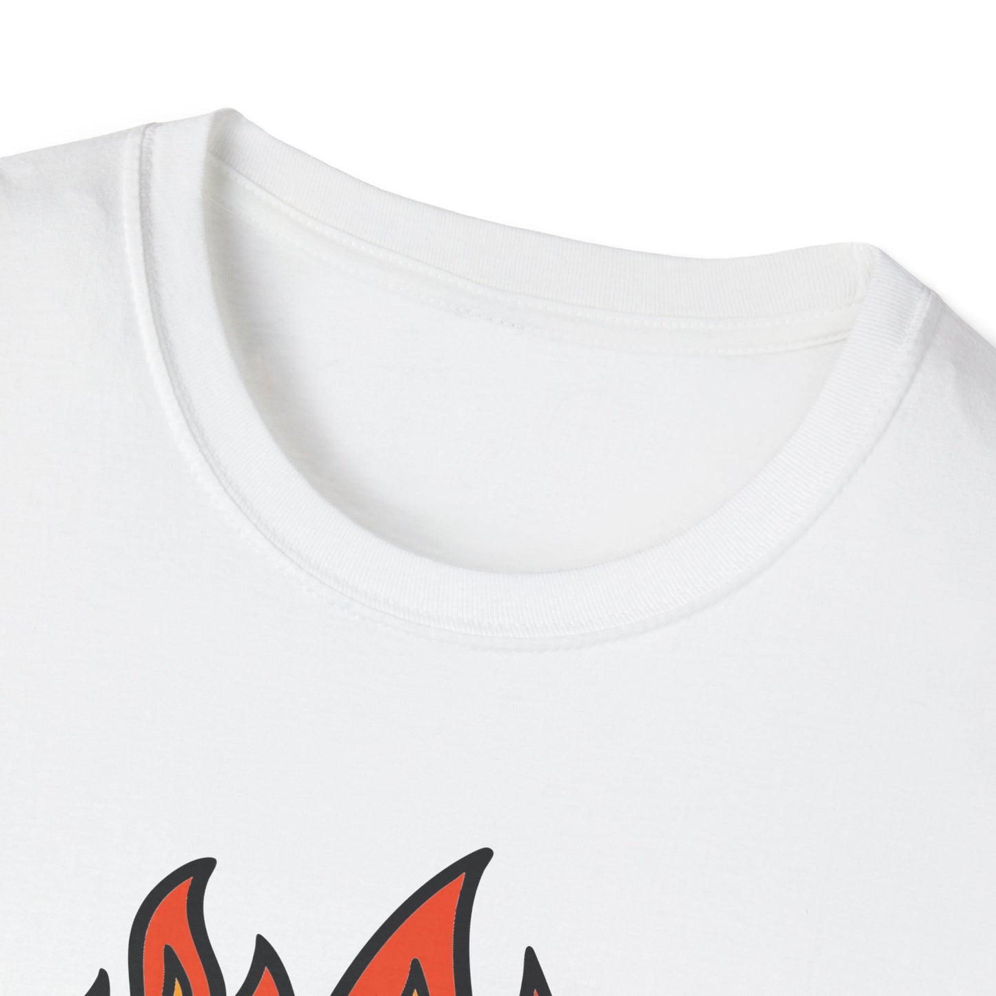 This Is Fine Dumpster Cat T-Shirt