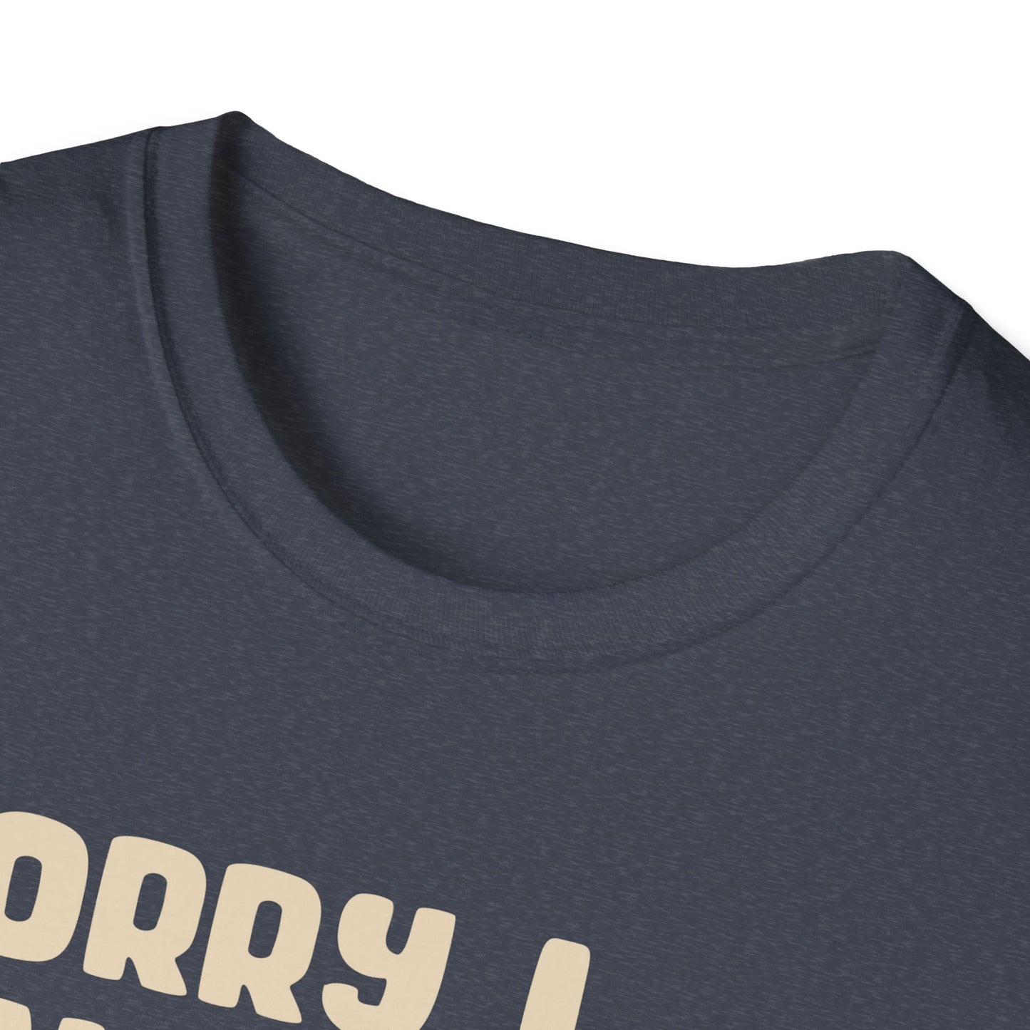 Sorry I Can't Go I'm an Inside Cat T Shirt Funny Cat Shirt