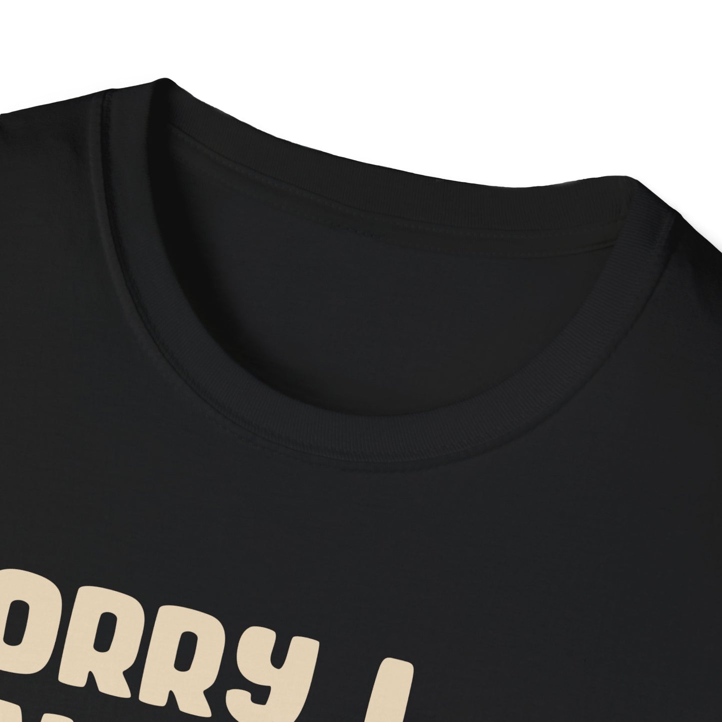 Sorry I Can't Go I'm an Inside Cat T Shirt Funny Cat Shirt
