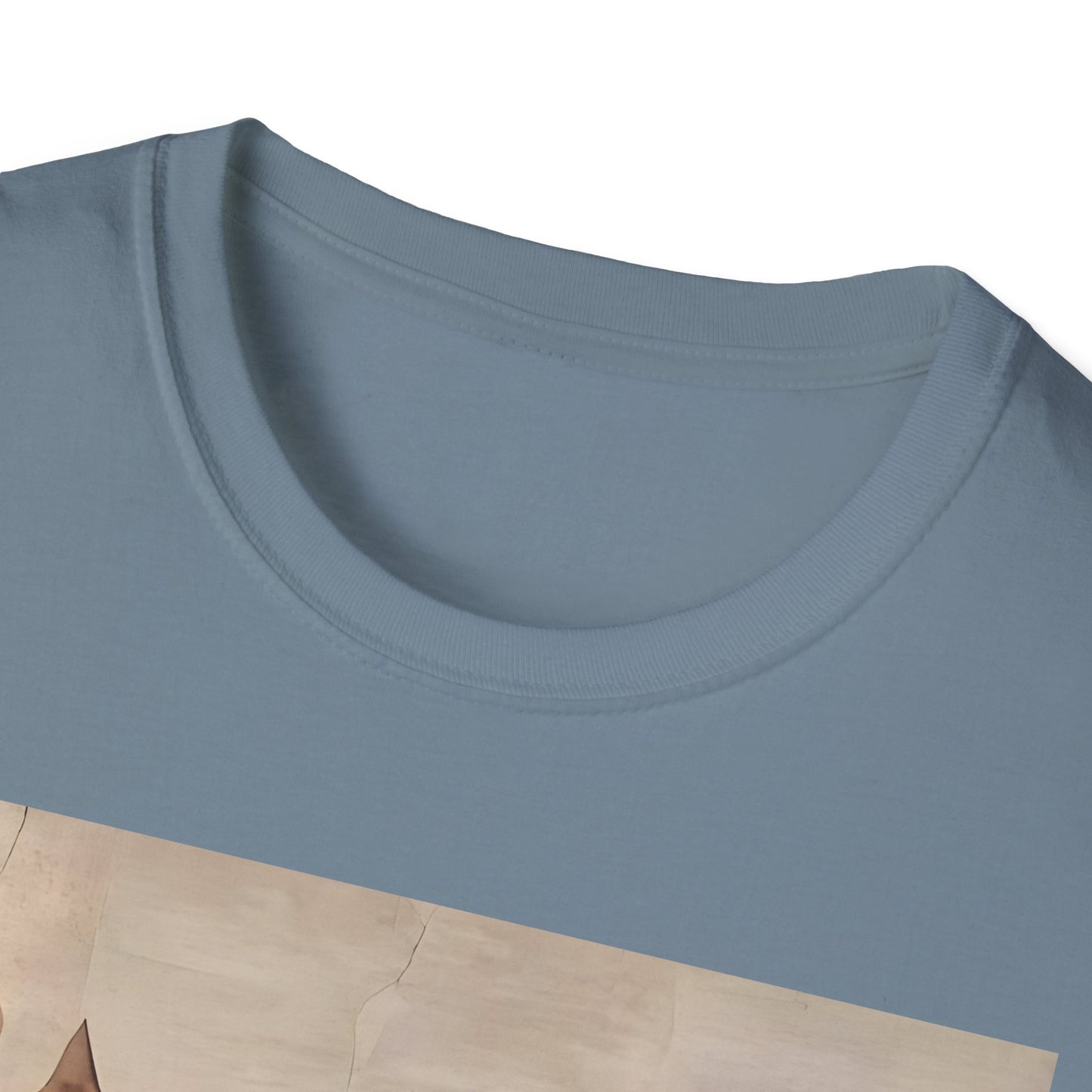 Creation of Cat Shirt