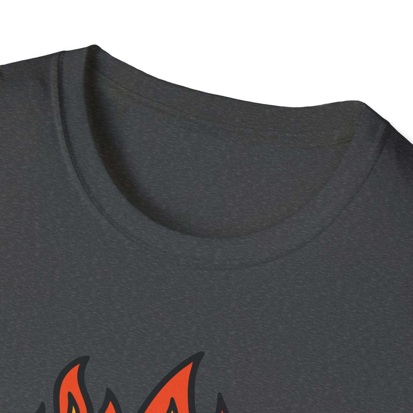This Is Fine Dumpster Cat T-Shirt