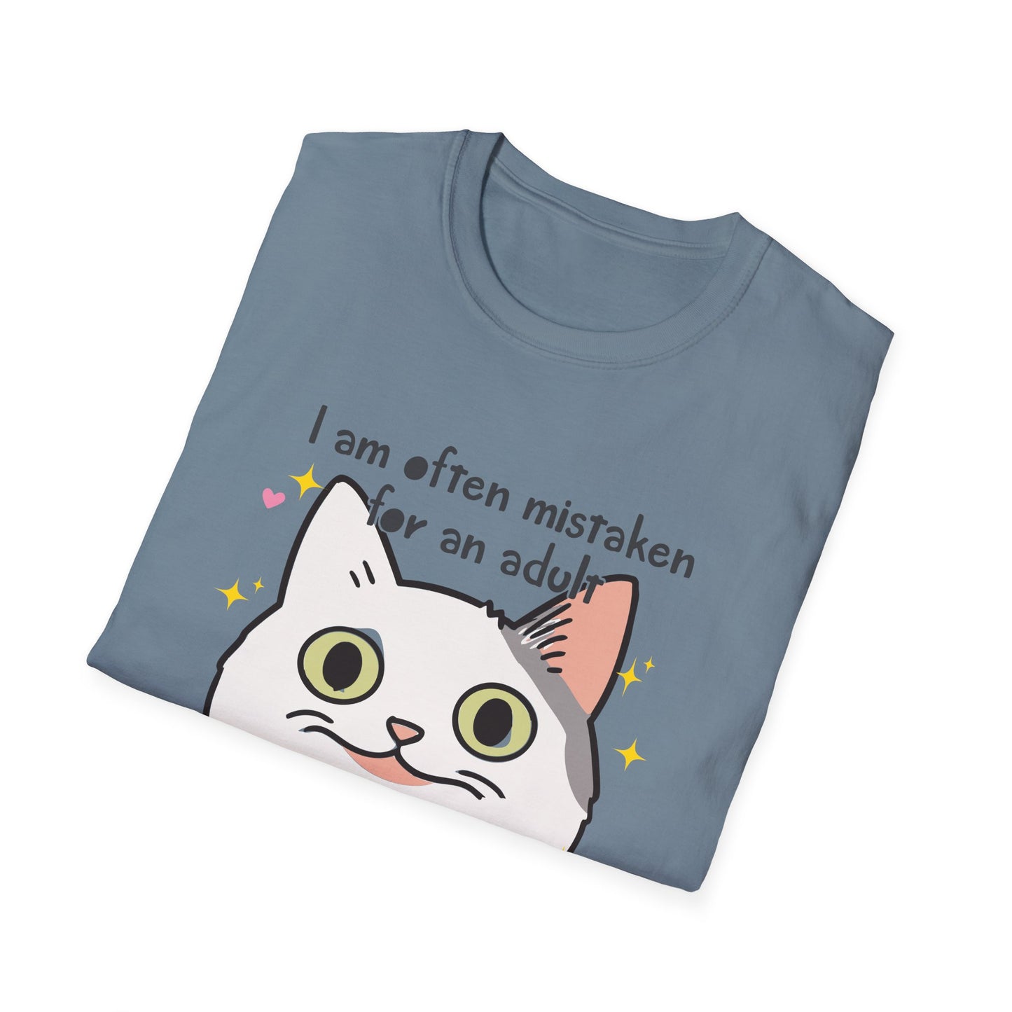 Mistaken for an Adult Because of My Age Funny Shirt