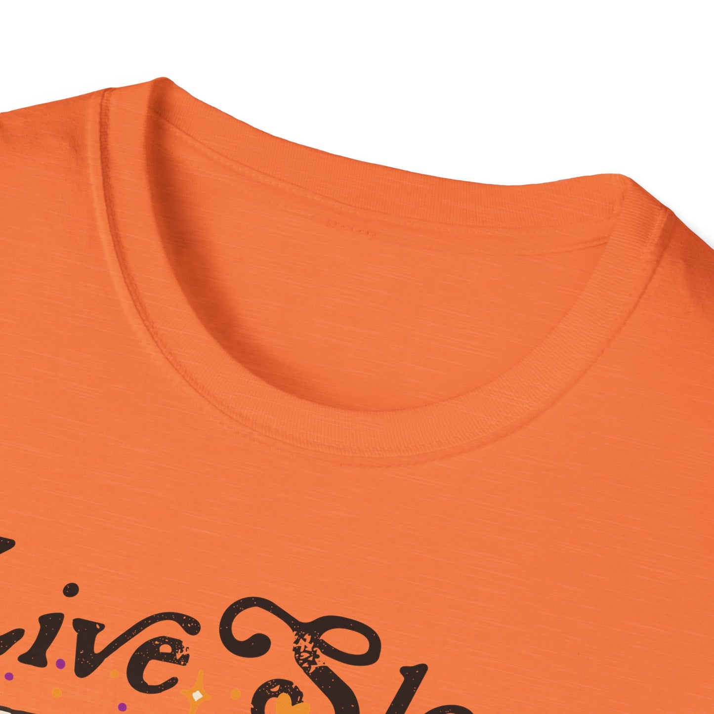 Live Slow Die Cozy Cottagecore Possum Tee for Introverts and Blanket Enthusiasts