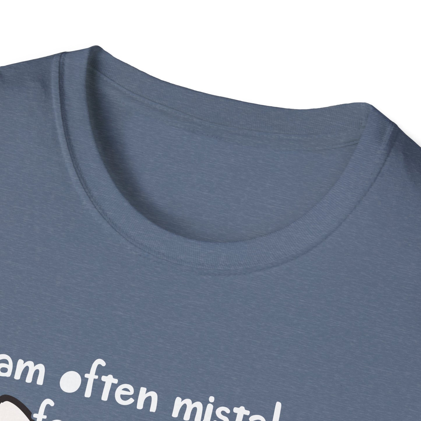 Mistaken for an Adult Because of My Age Funny Shirt