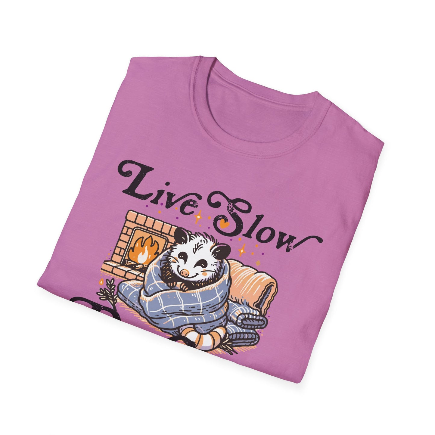 Live Slow Die Cozy Cottagecore Possum Tee for Introverts and Blanket Enthusiasts