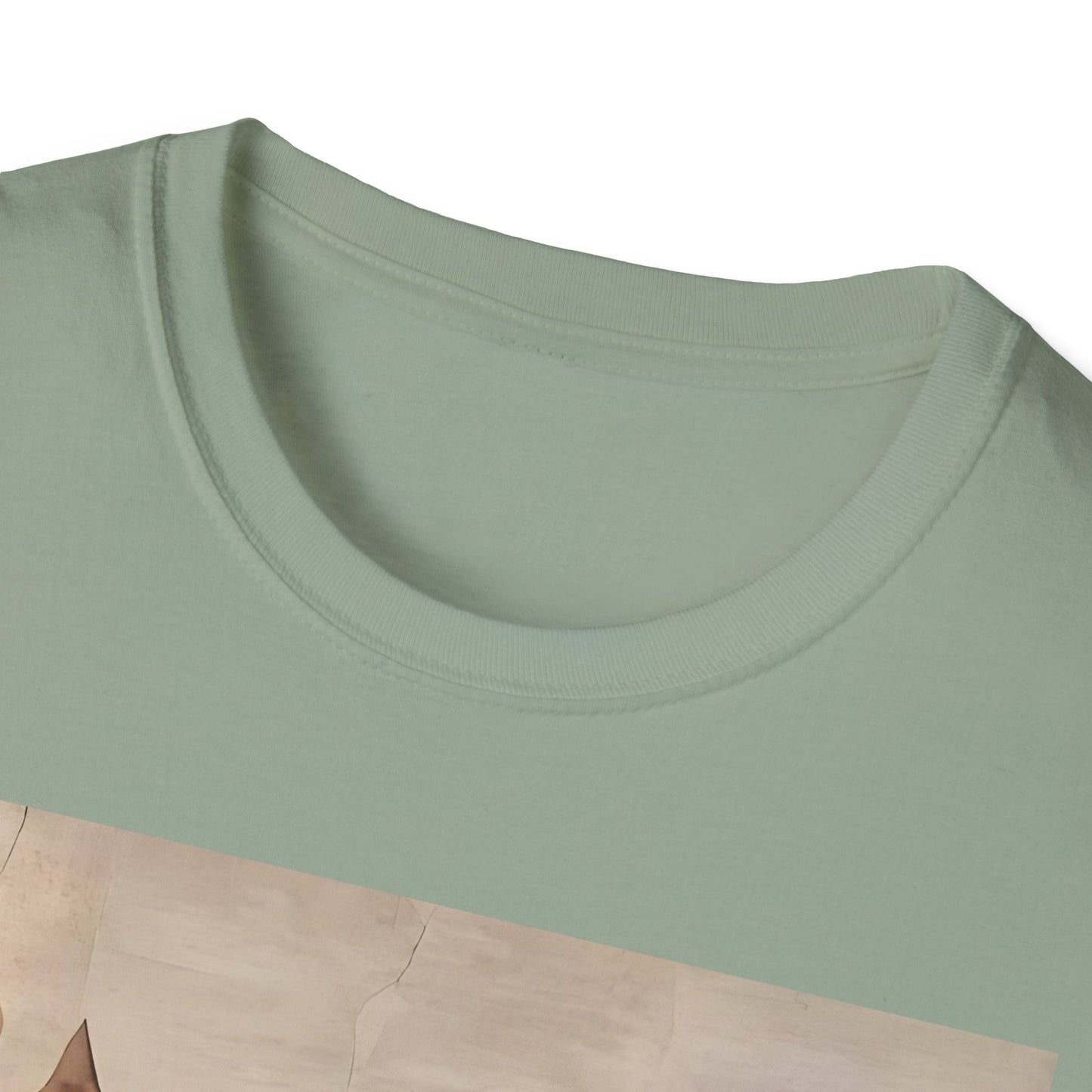 Creation of Cat Shirt