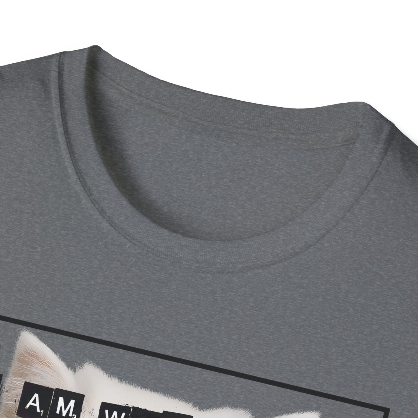 Cat Fragile Masculinity T-Shirt