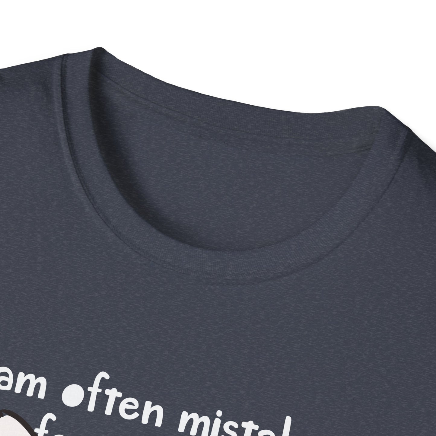 Mistaken for an Adult Because of My Age Funny Shirt