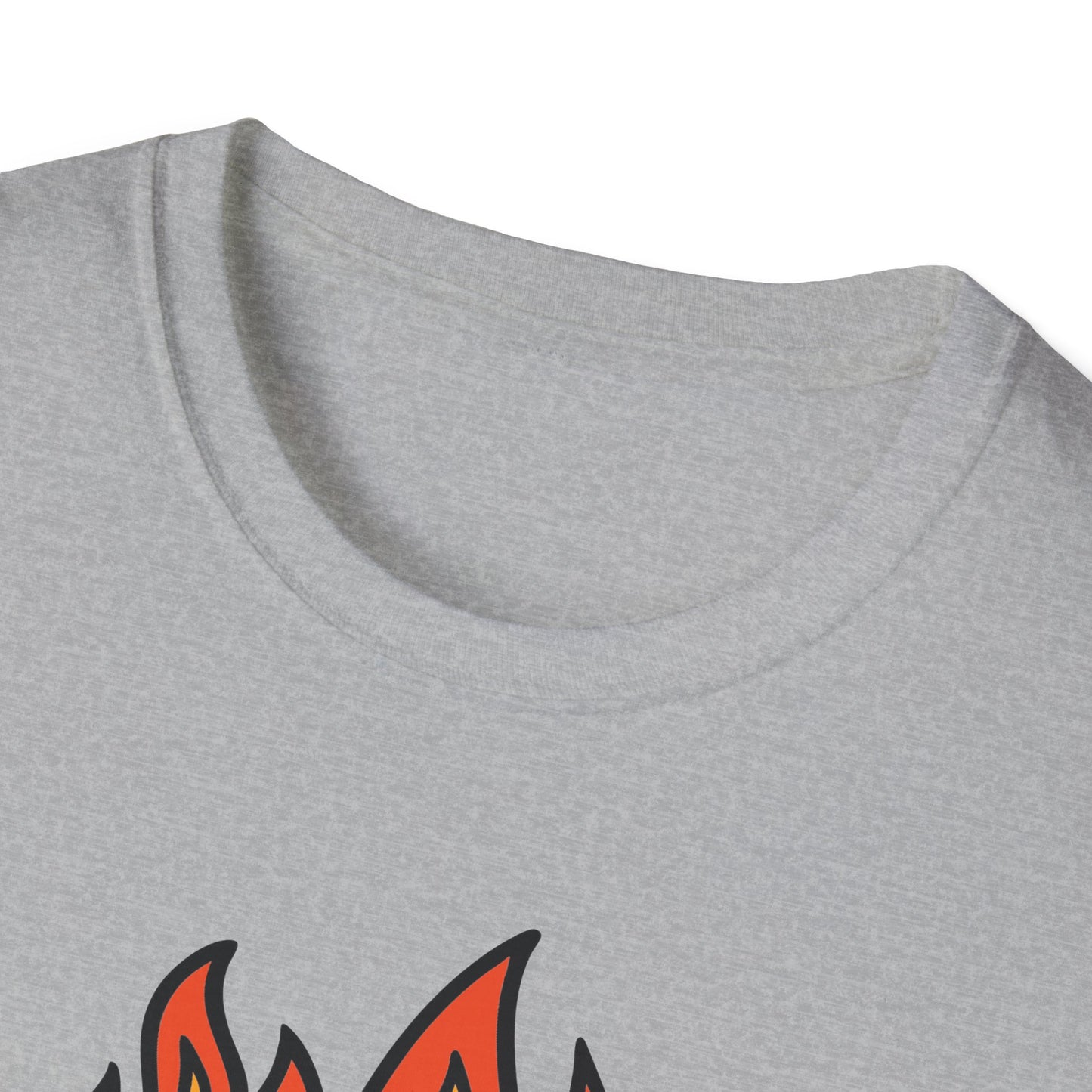 This Is Fine Dumpster Cat T-Shirt