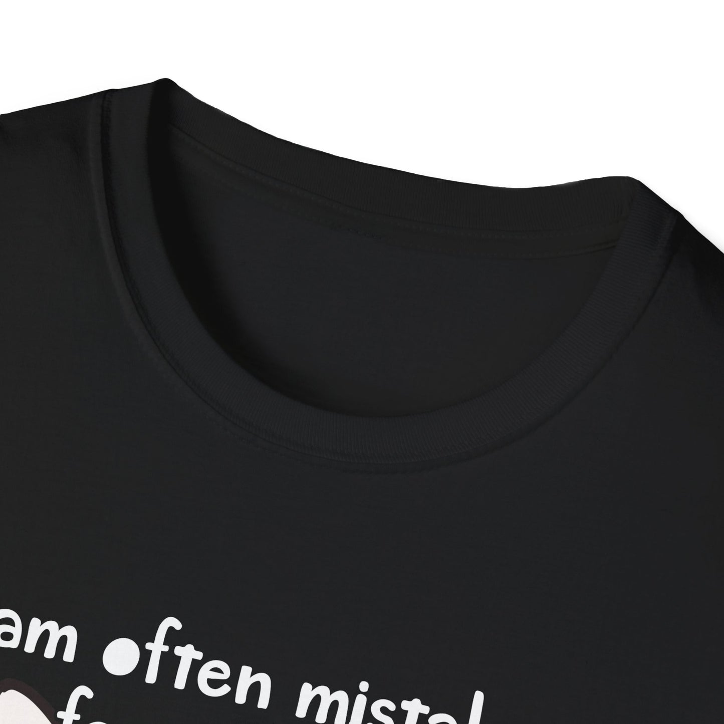 Mistaken for an Adult Because of My Age Funny Shirt