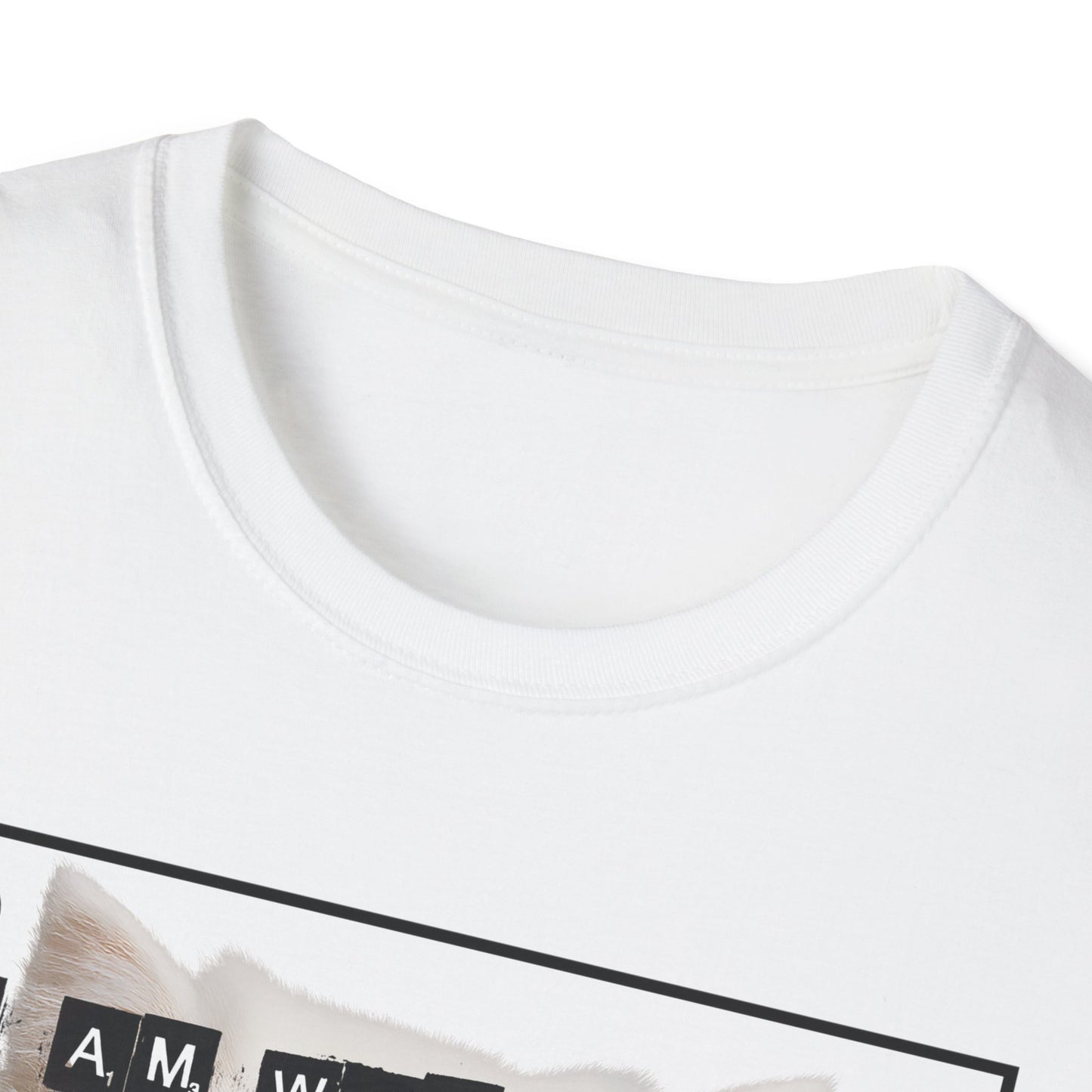 Cat Fragile Masculinity T-Shirt
