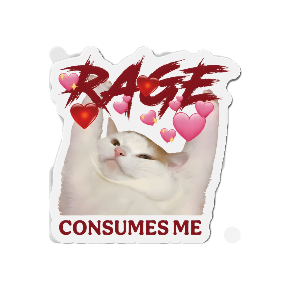 Rage Consumes Me Cat Die-Cut Magnets