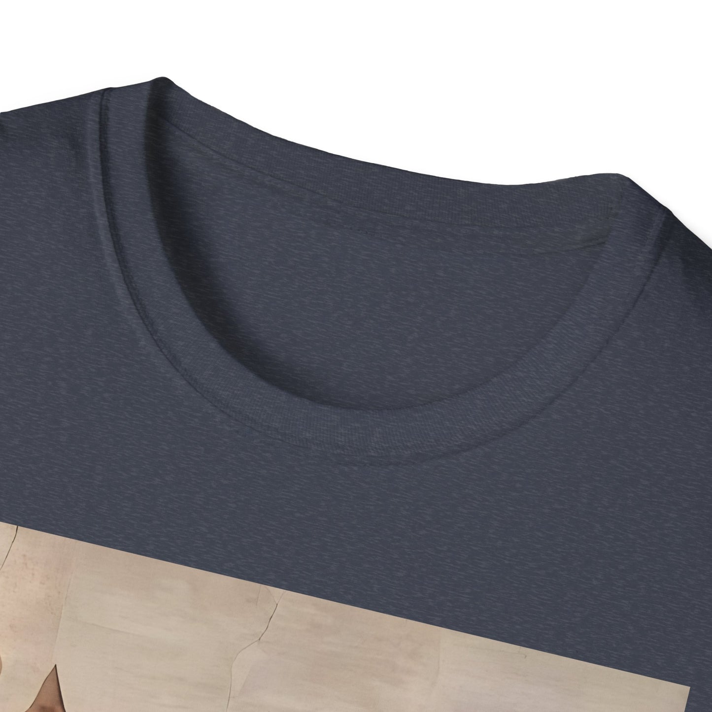 Creation of Cat Shirt