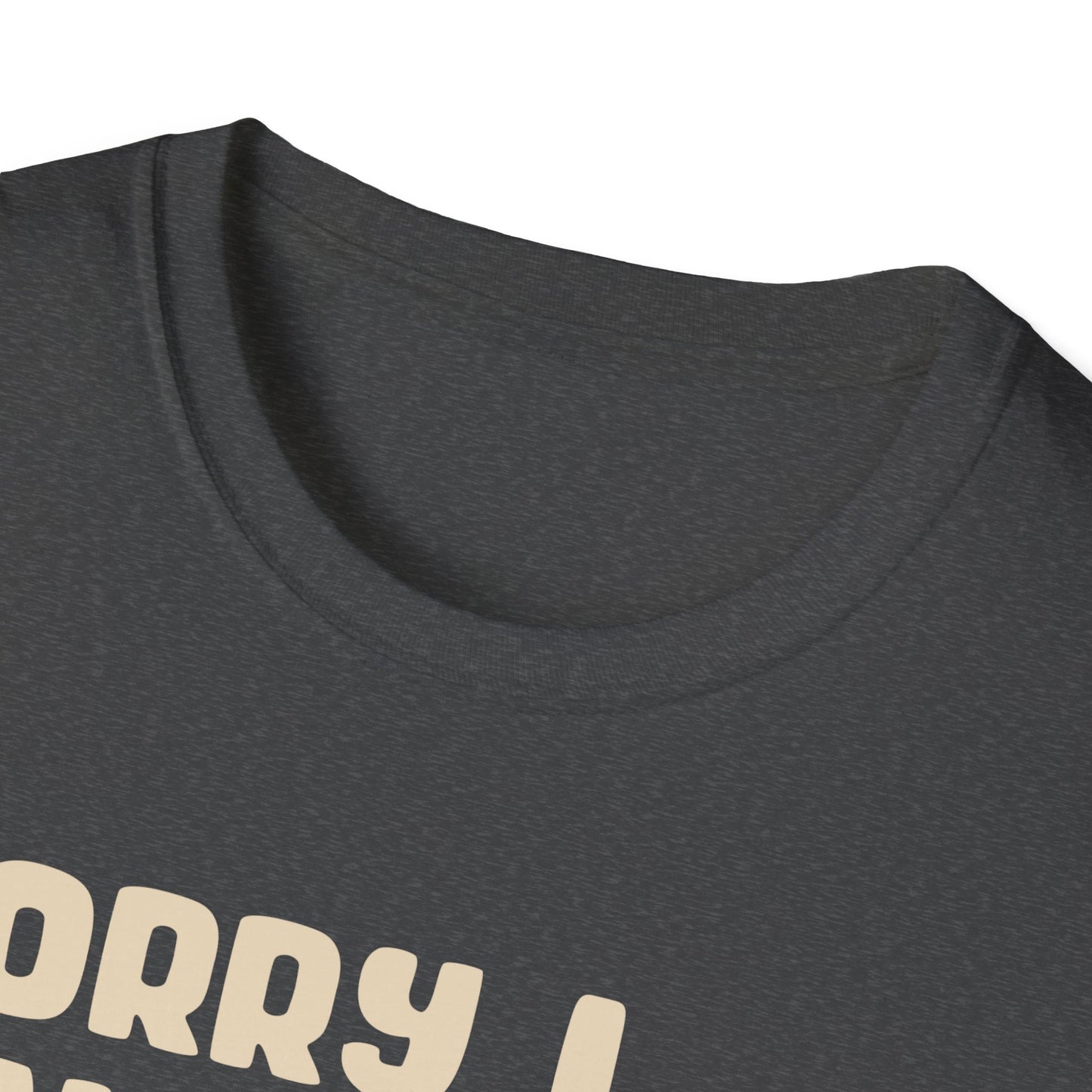 Sorry I Can't Go I'm an Inside Cat T Shirt Funny Cat Shirt