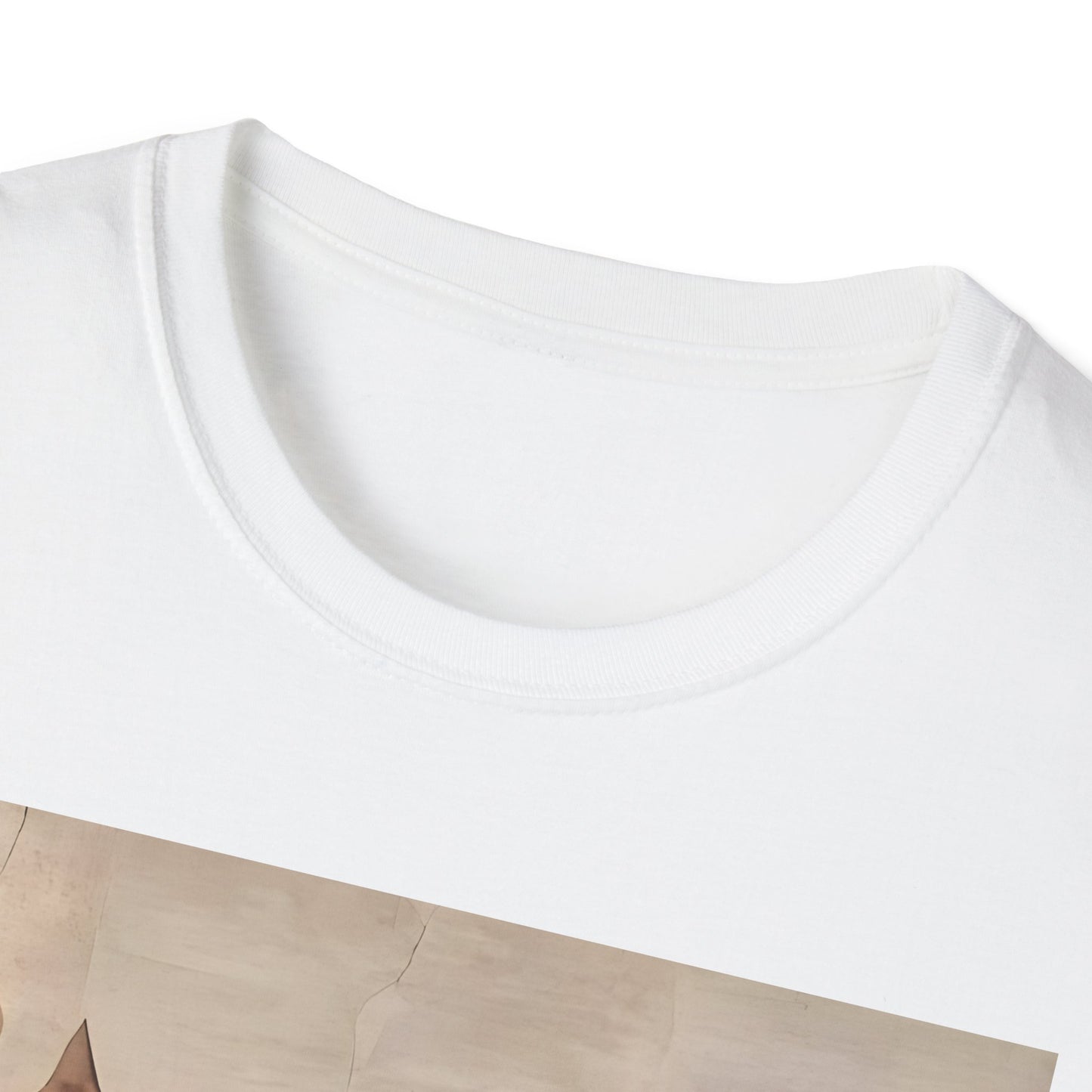 Creation of Cat Shirt