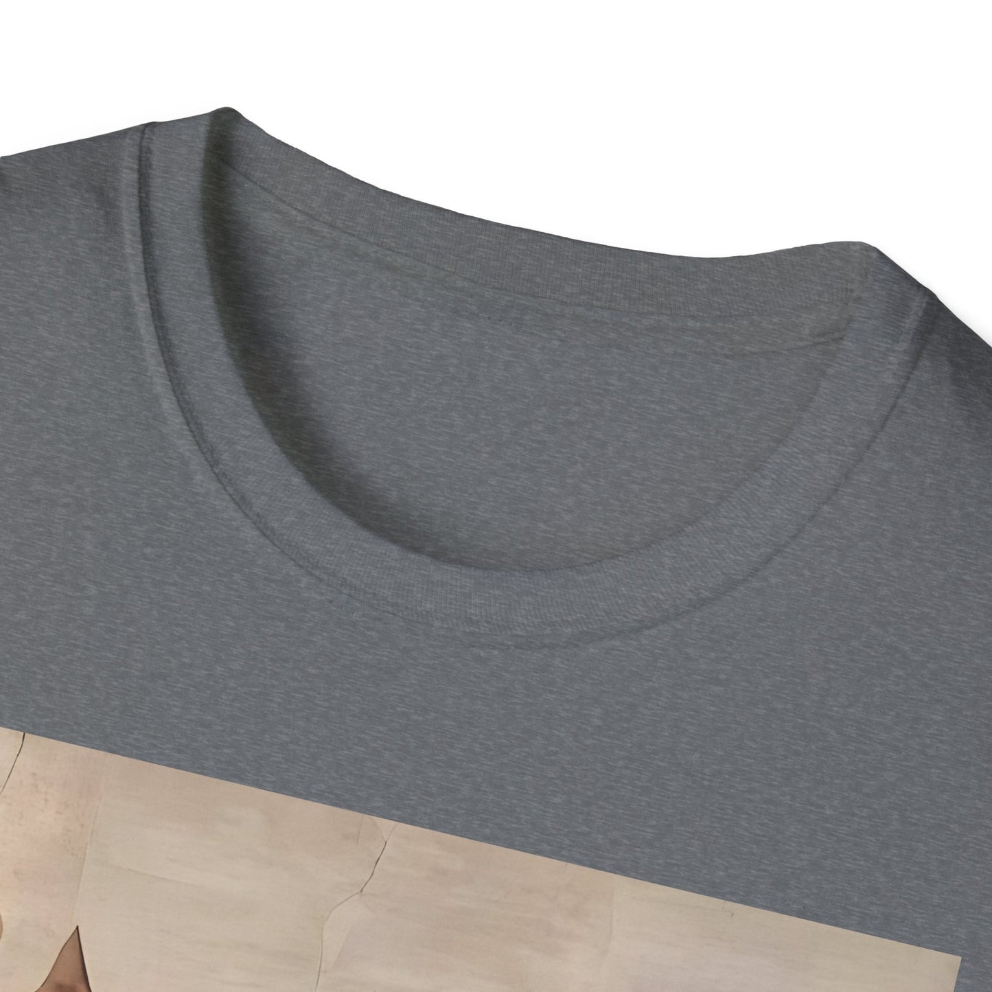 Creation of Cat Shirt