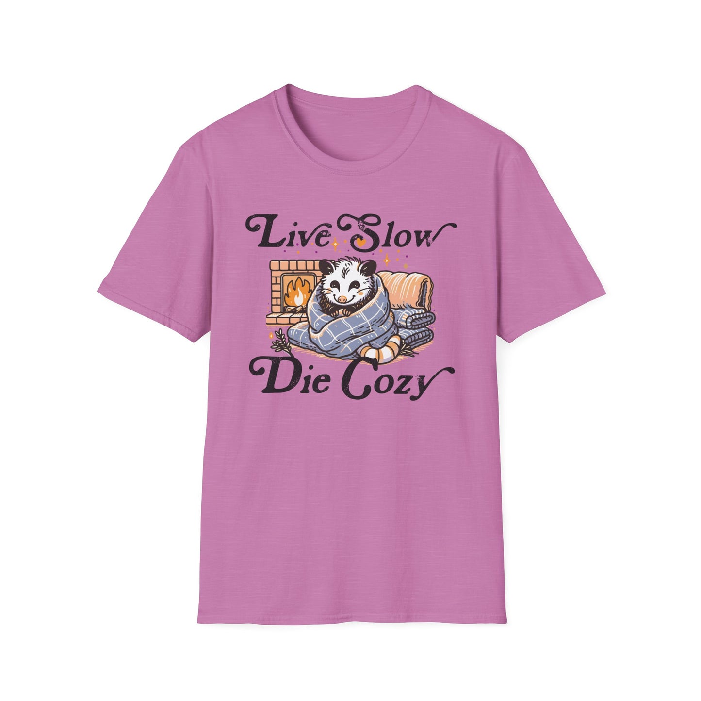 Live Slow Die Cozy Cottagecore Possum Tee for Introverts and Blanket Enthusiasts