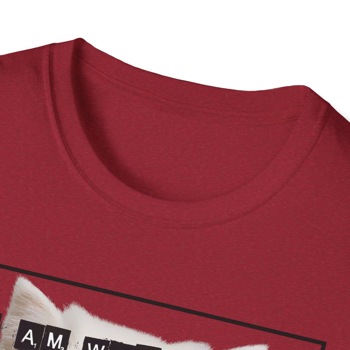 Cat Fragile Masculinity T-Shirt