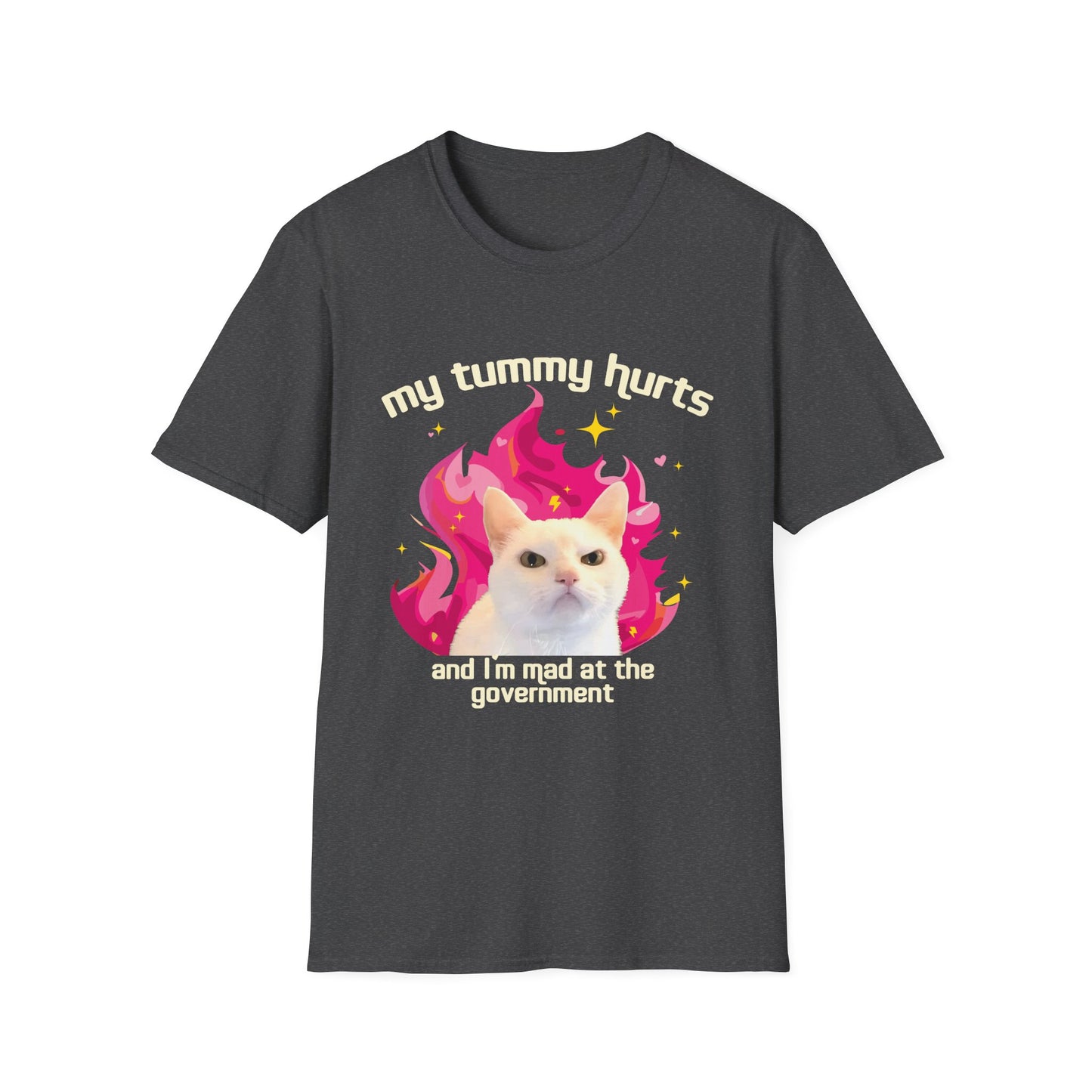 My Tummy Hurts and I'm Mad at the Government
