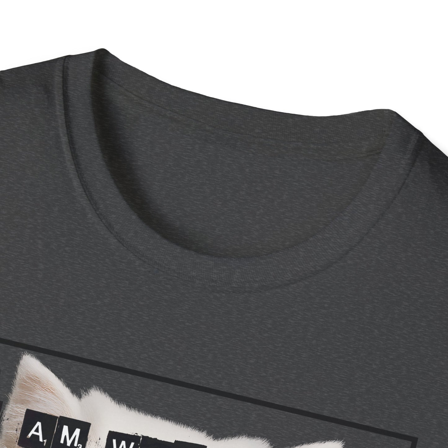 Cat Fragile Masculinity T-Shirt