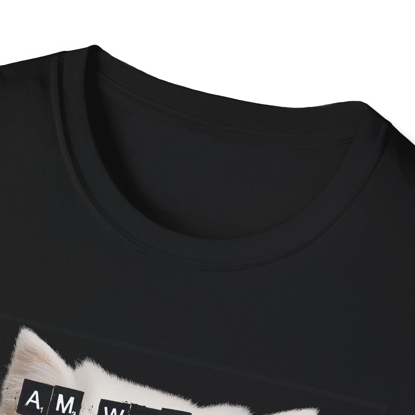 Cat Fragile Masculinity T-Shirt