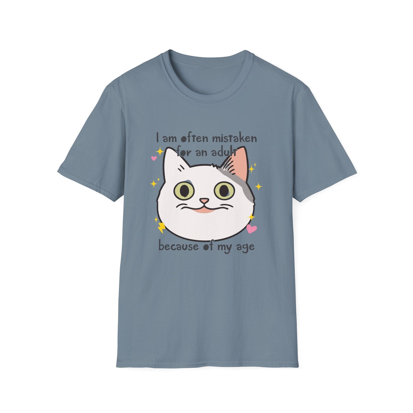 Mistaken for an Adult Because of My Age Funny Shirt