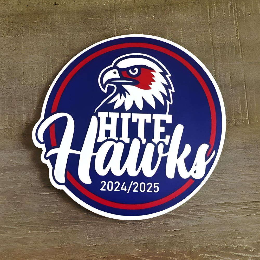 Custom Die-Cut Car Magnet