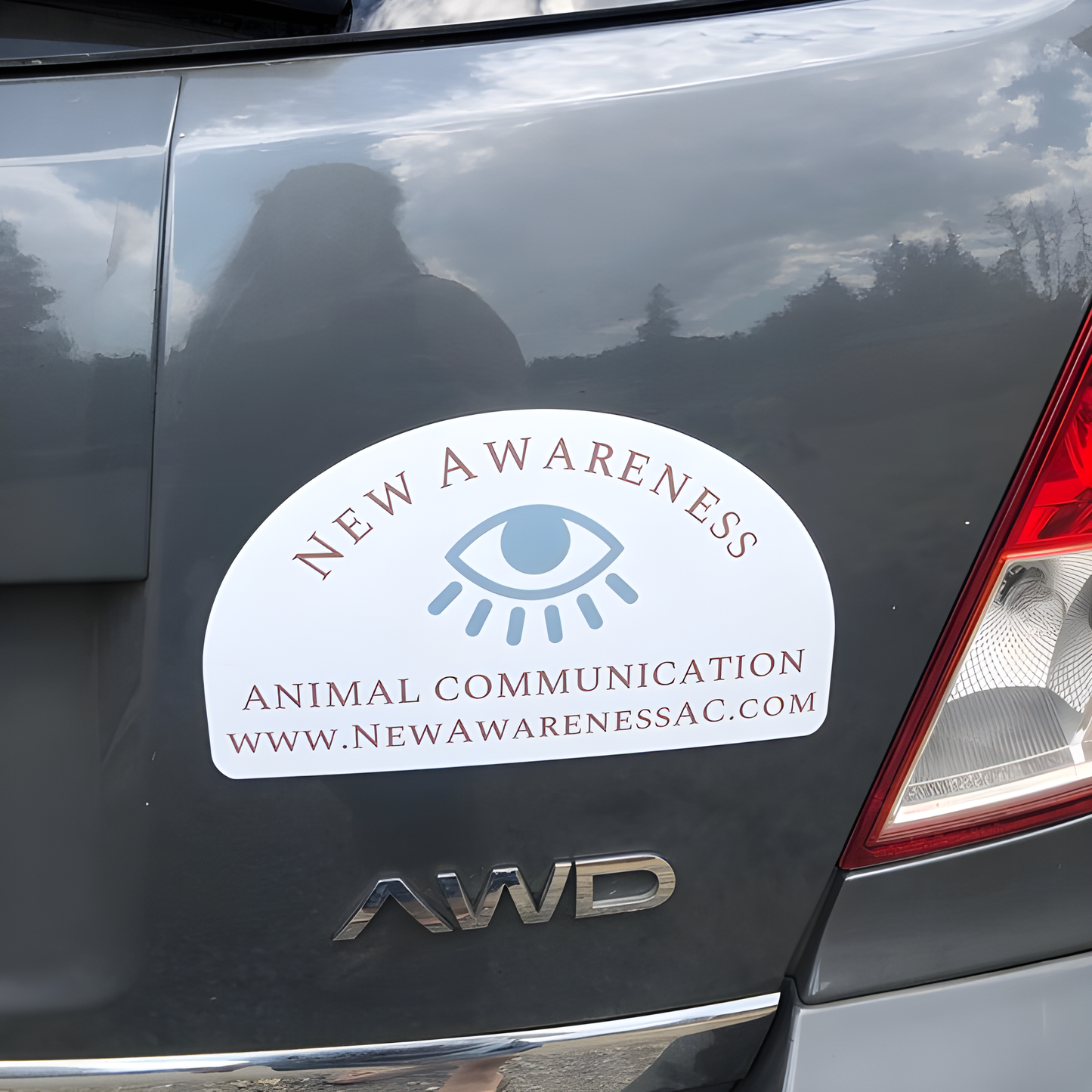 Custom Die-Cut Car Magnet
