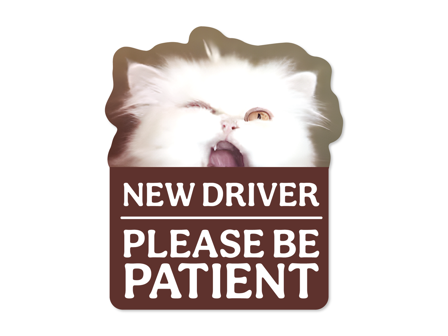 New Driver Cat Sticker Waterproof Vinyl Decal