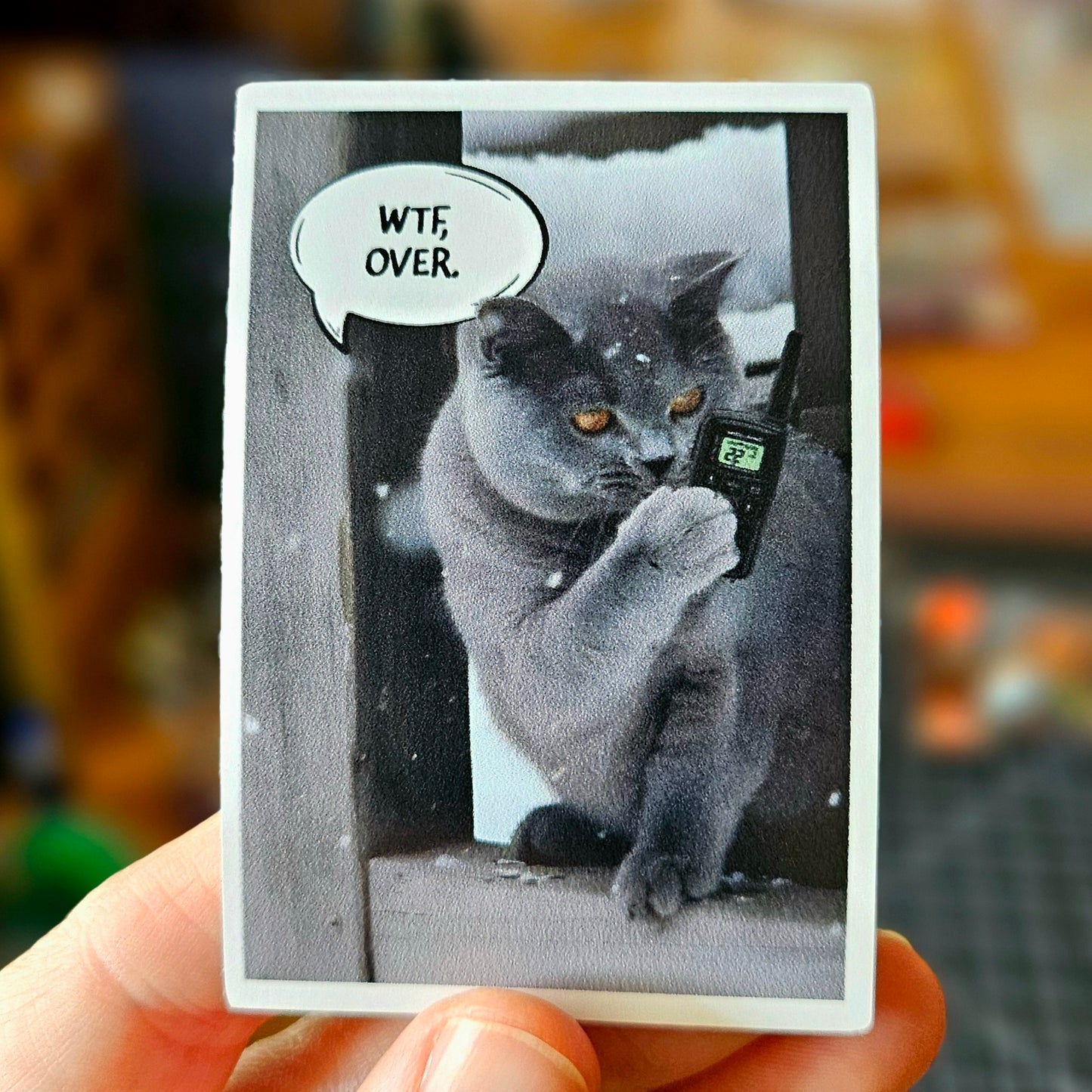 WTF Cats 3" Funny Sticker