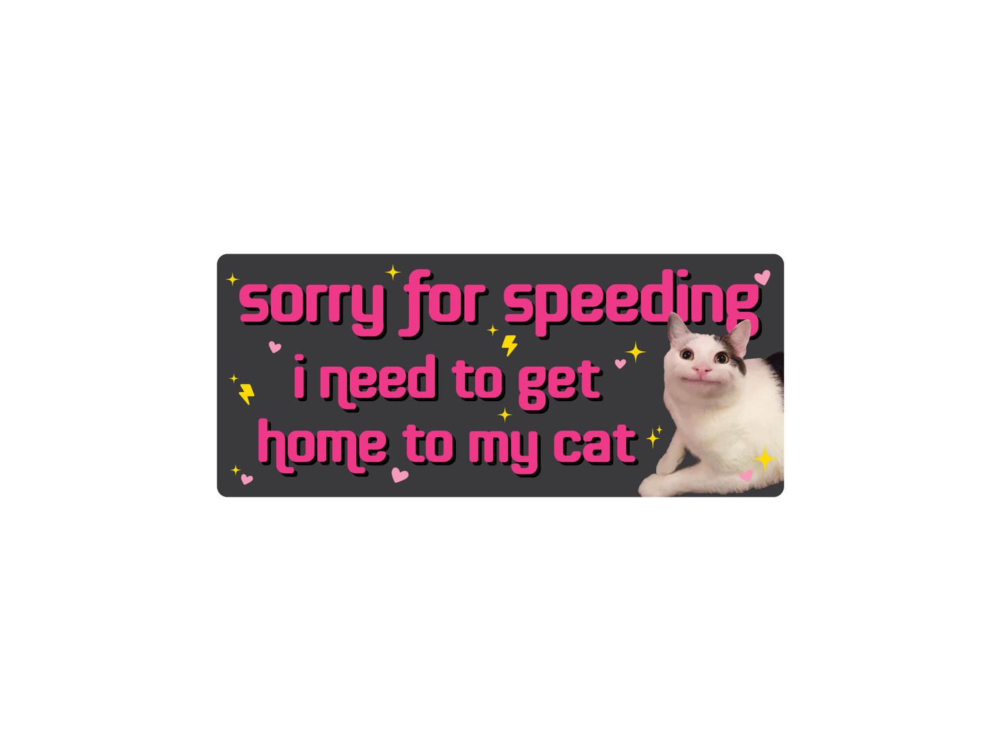 Sorry For Speeding 7" Funny Cat Bumper Sticker, weatherproof
