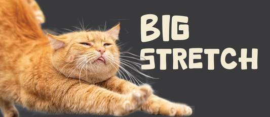 The Art of Small Joys