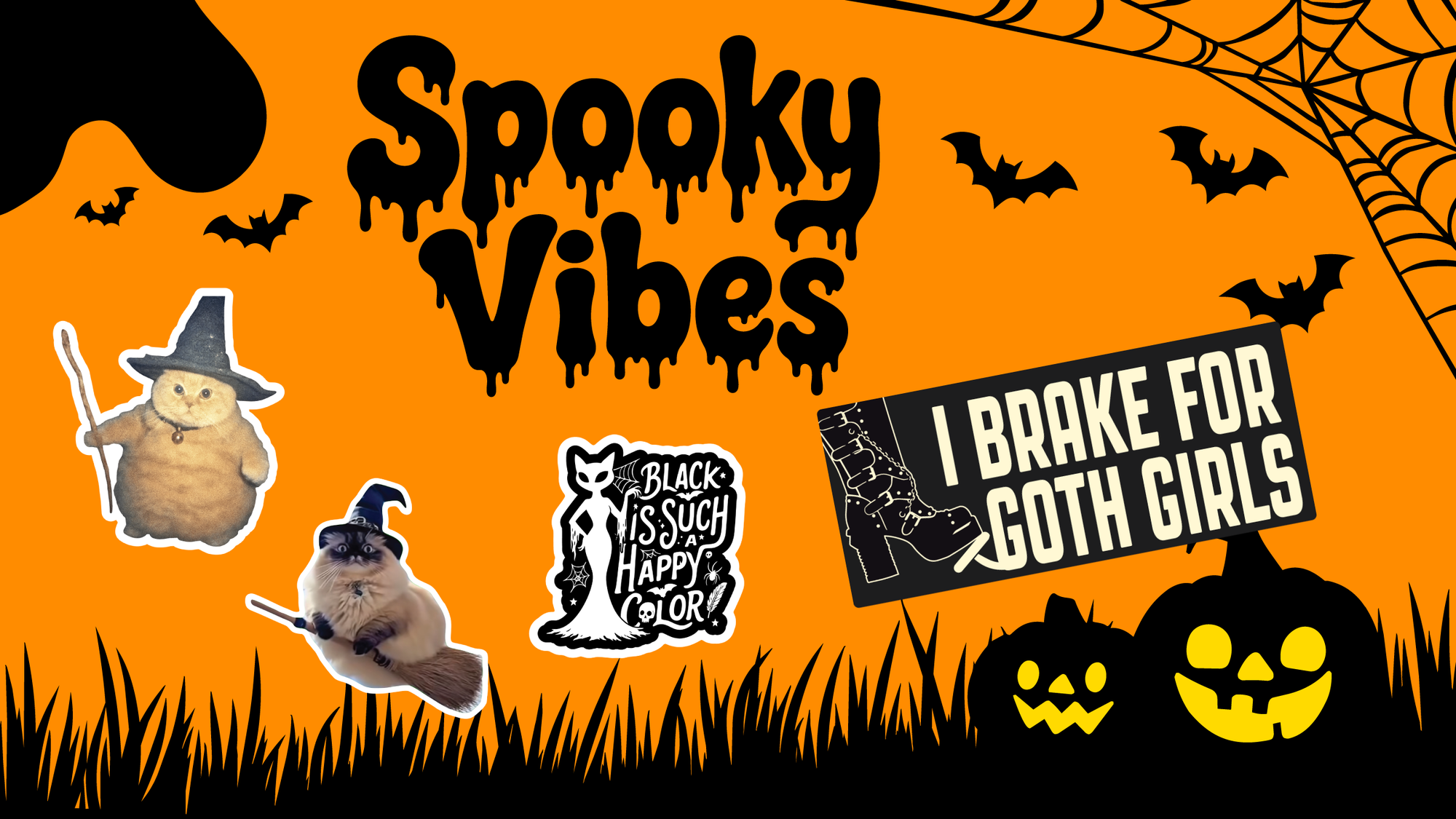 Mid-Summer Catch-Up: Cats, Gardens & Spooky Vibes
