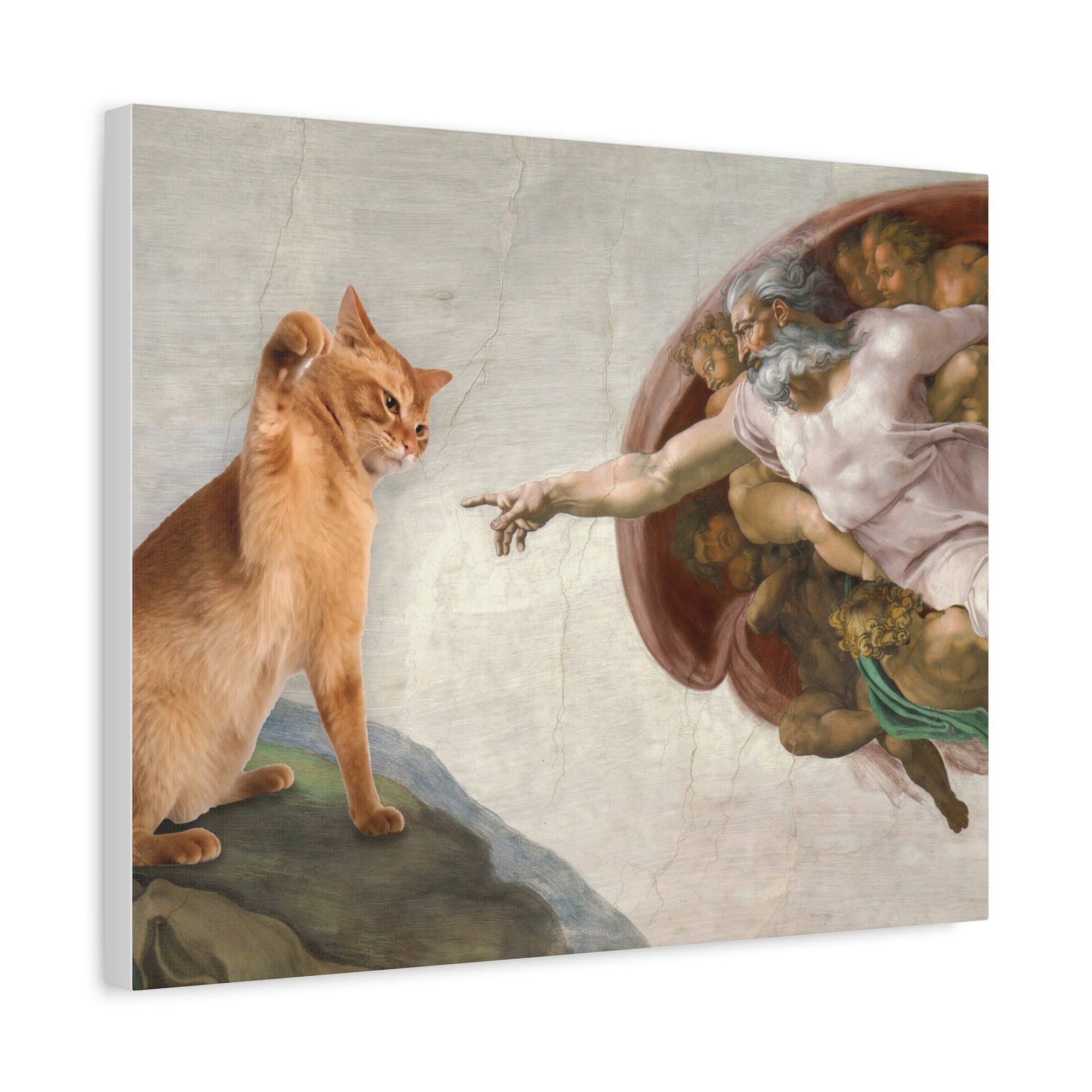Cat standing on a rock reaching out to touch a classical painting of a muscular man with a shield.