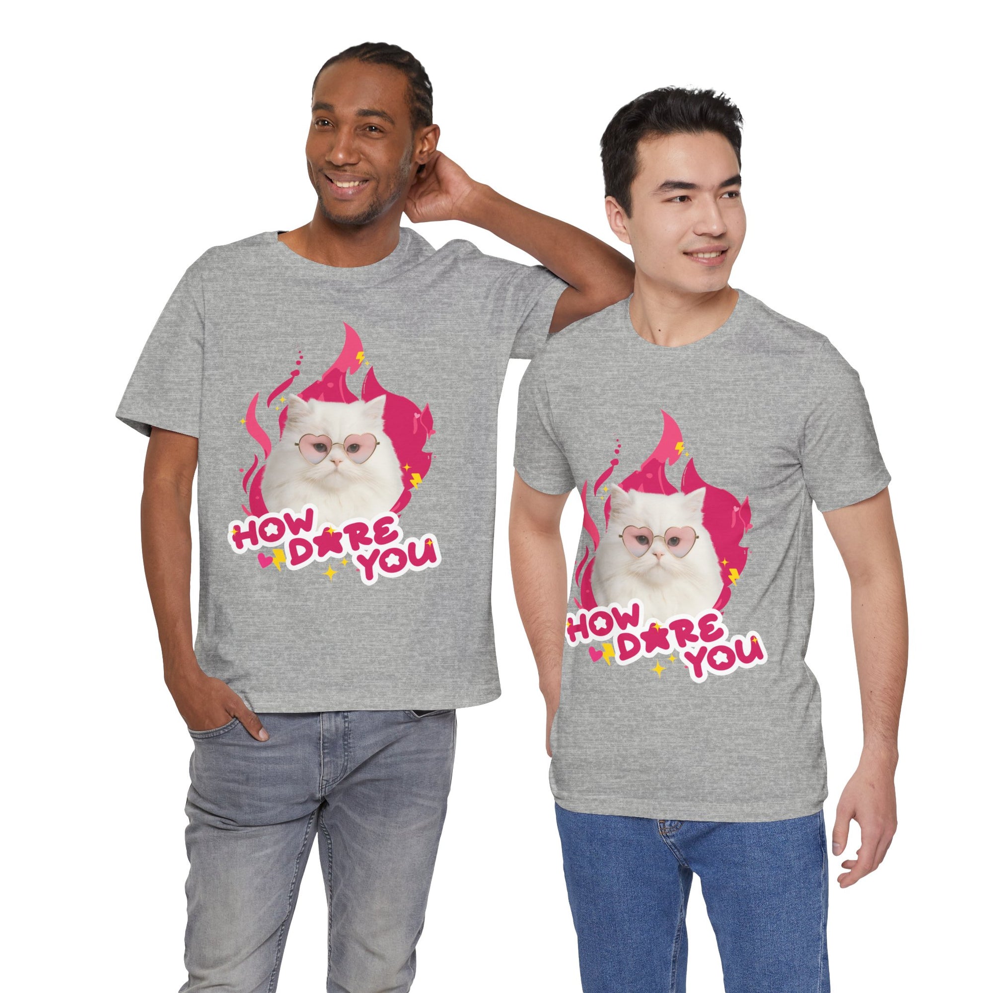 Two men wearing gray t-shirts with a cat graphic and text 'HOW DARE YOU' on a white background.