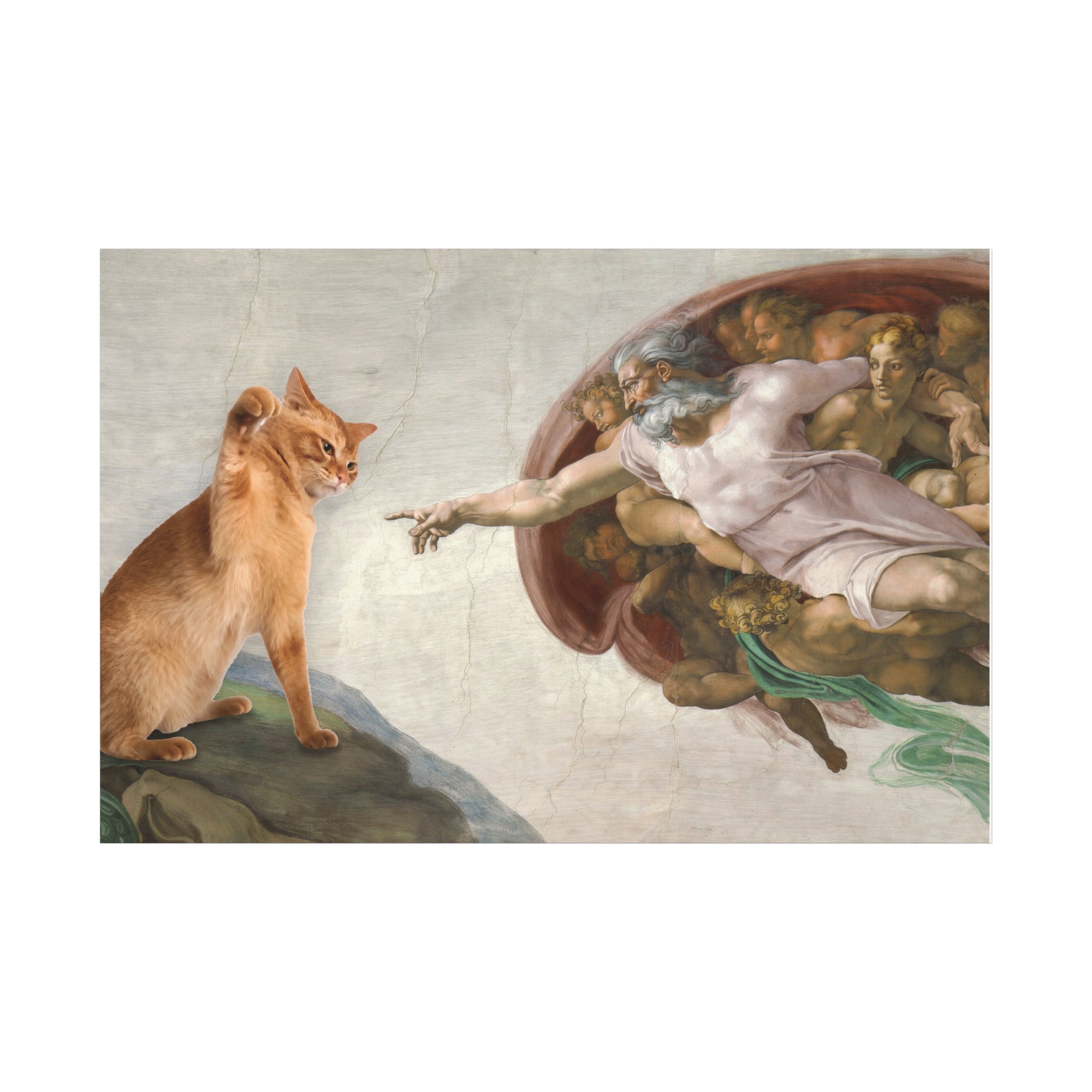 Meme of a cat replacing the figure of God in Michelangelo's 'Creation of Adam' painting.