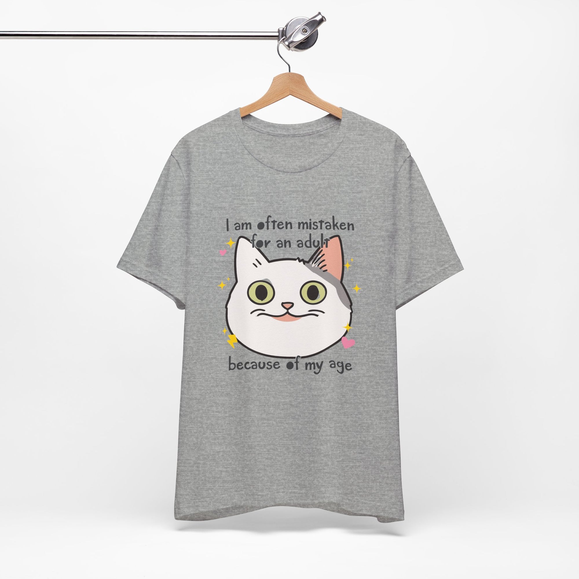 Gray t-shirt with a cat graphic and text on a hanger against a white background