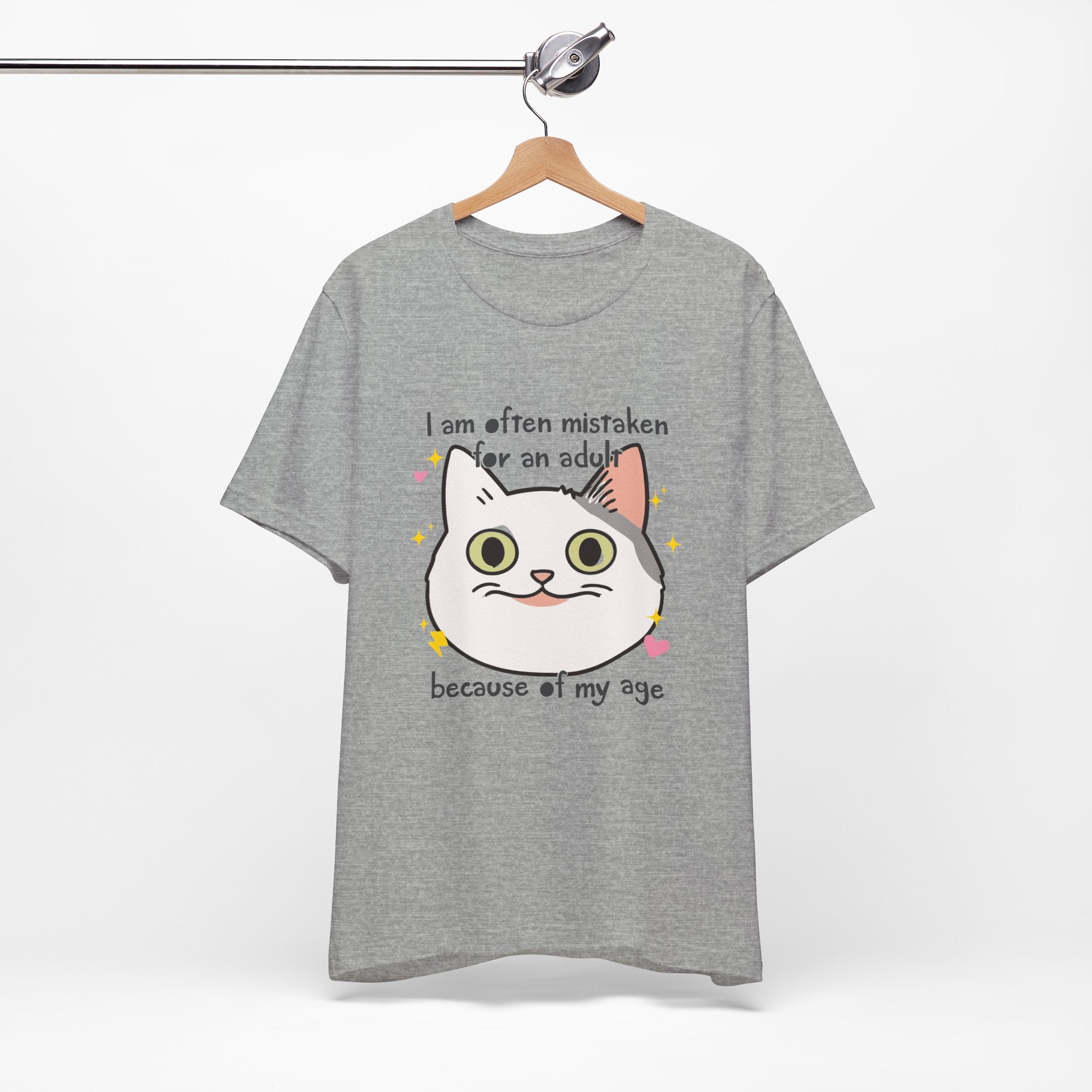 Gray t-shirt with a cat graphic and text on a hanger against a white background