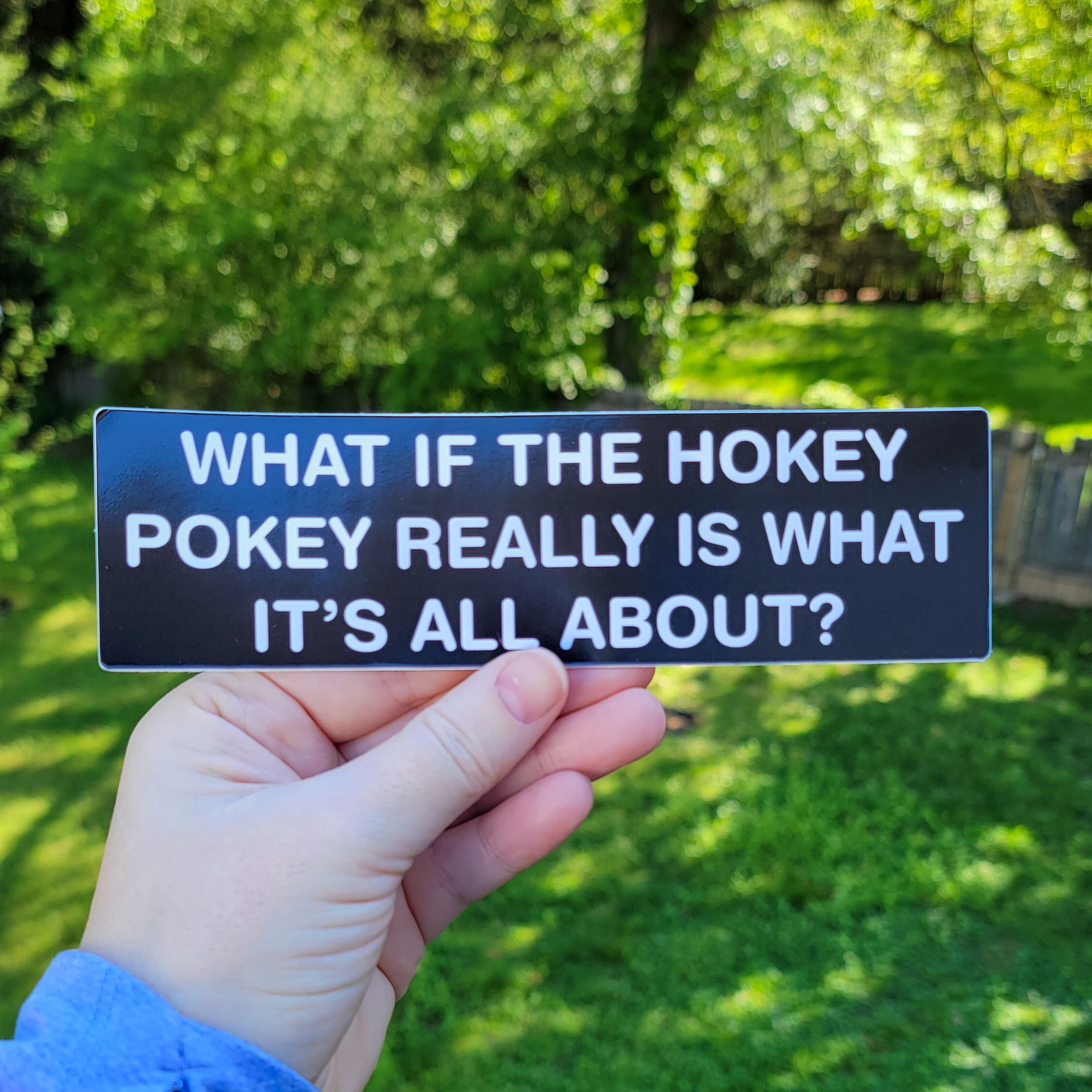Rectangular black bumper sticker with bold white text that says “What if the Hokey Pokey really is what it’s all about?”
