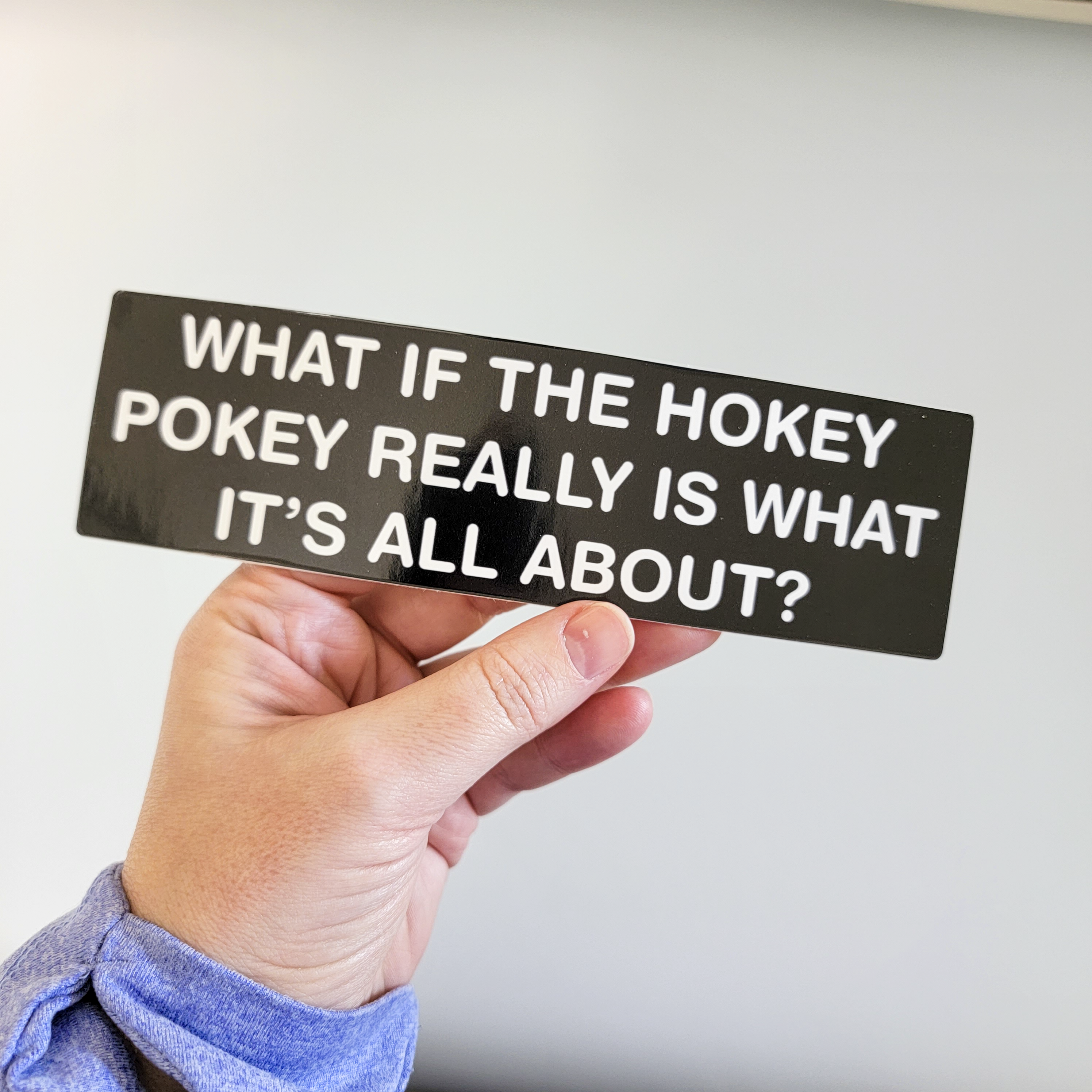 Rectangular black bumper sticker with bold white text that says “What if the Hokey Pokey really is what it’s all about?”
