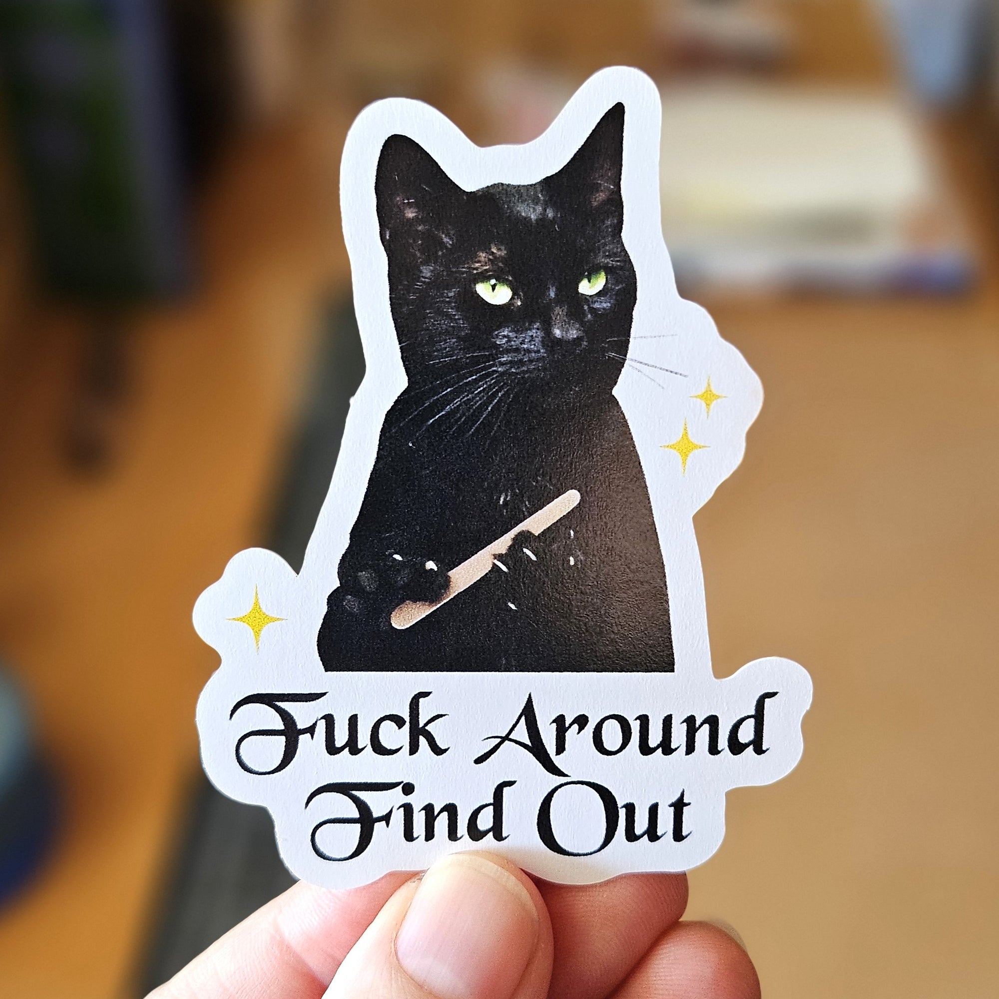 die cut “Fuck Around Find Out” vinyl sticker featuring a serious black cat holding up one tiny middle finger, shown in white and holographic options.
