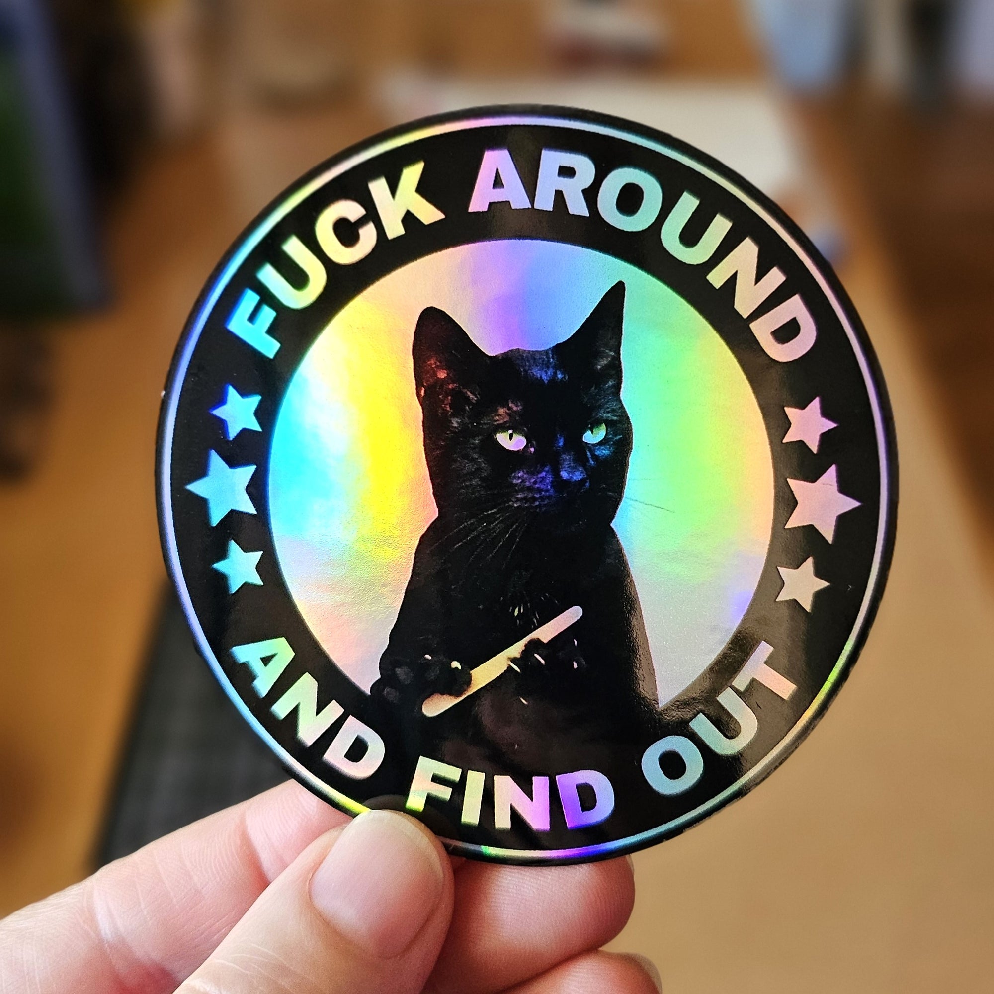 round “Fuck Around and Find Out” vinyl sticker featuring a serious black cat in a circular badge design, shown in white and holographic options.

