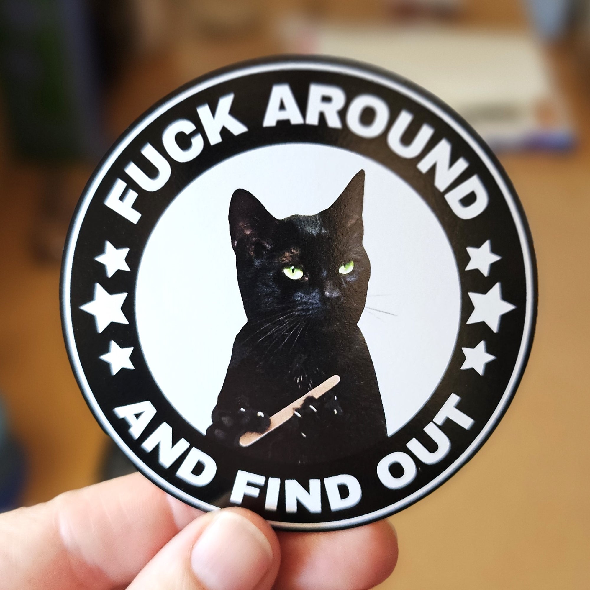 round “Fuck Around and Find Out” vinyl sticker featuring a serious black cat in a circular badge design, shown in white and holographic options.
