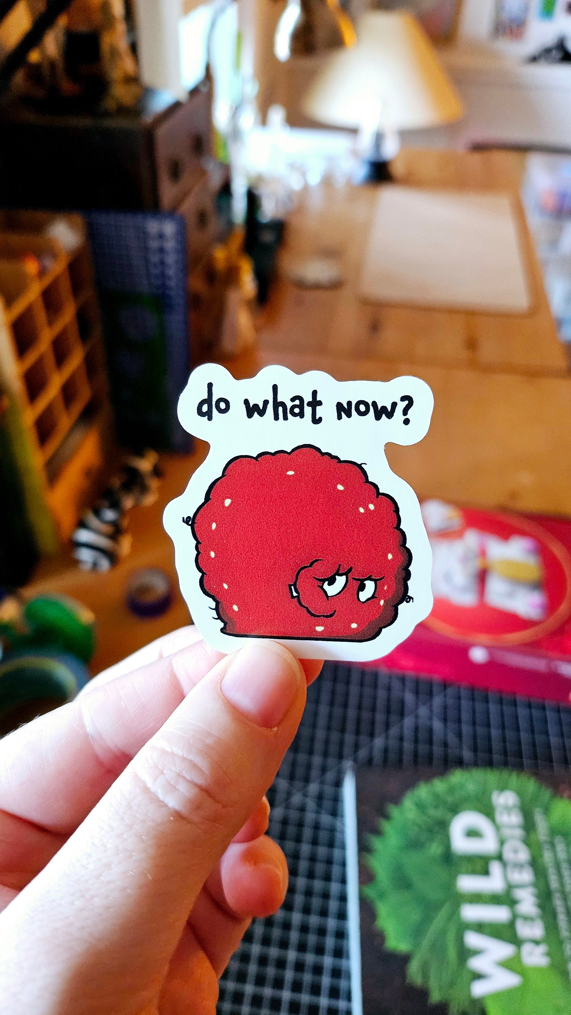 Die cut sticker featuring a confused red Meatwad-inspired character with the phrase “do what now?” above.
