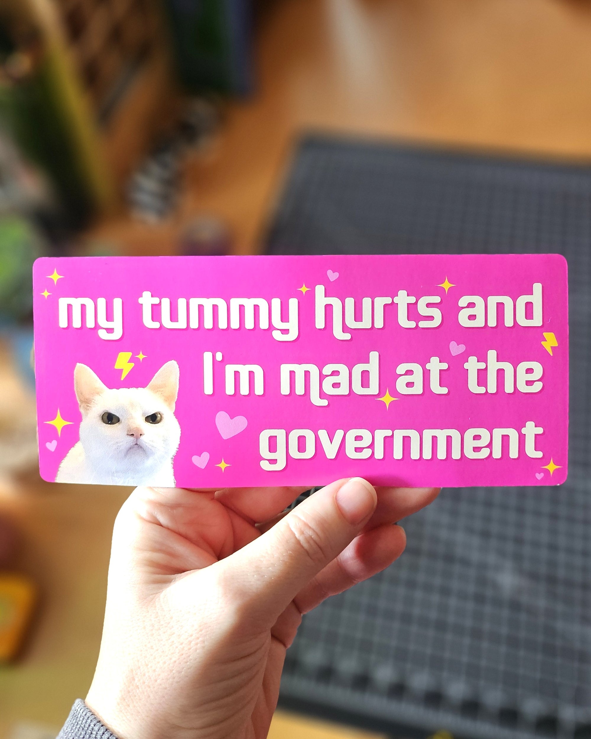 rectangular bumper stickers that say “my tummy hurts and I’m mad at the government,” shown in pink and dark gray color options with a serious white cat, hearts, sparkles, and lightning bolts.

