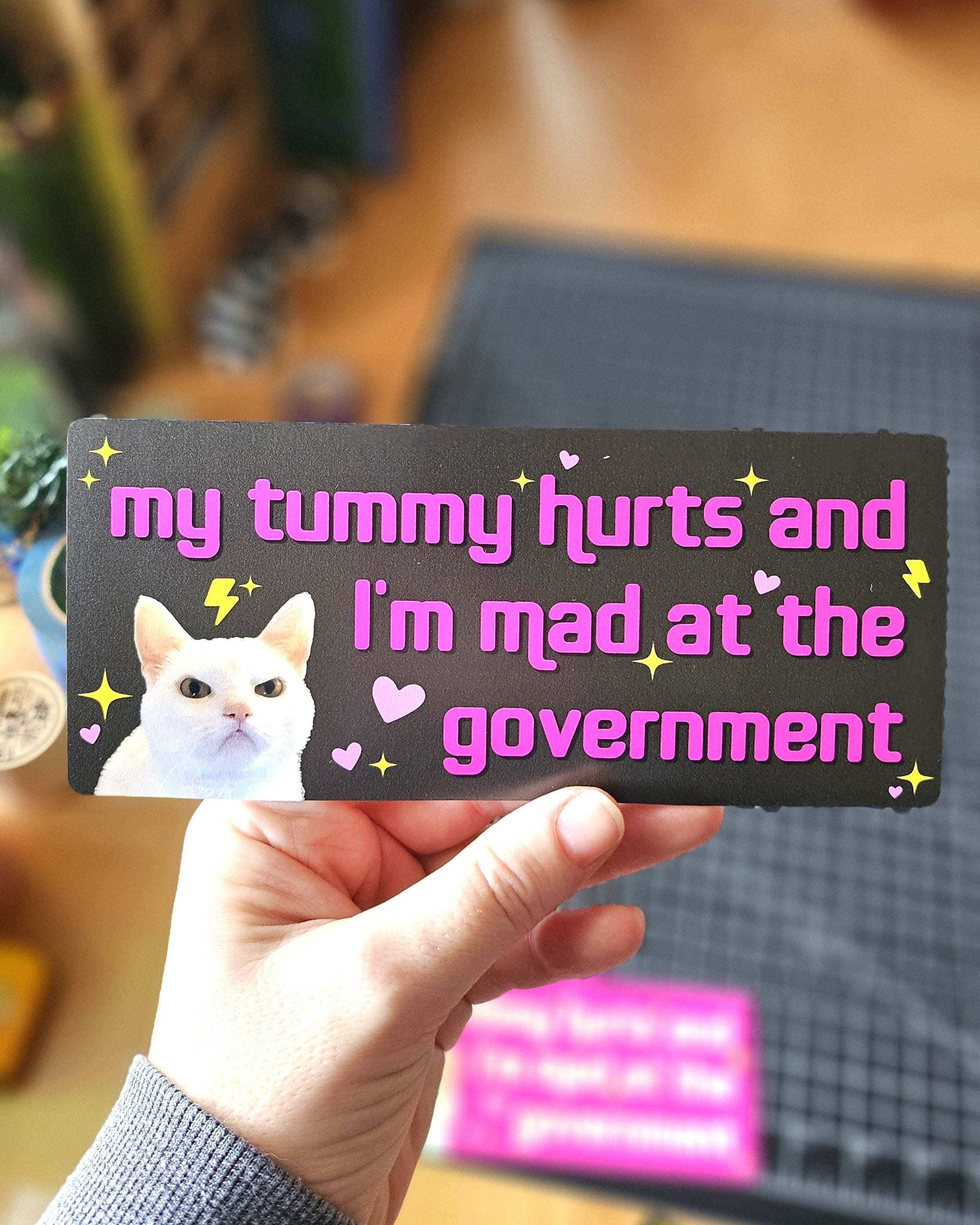 rectangular bumper stickers that say “my tummy hurts and I’m mad at the government,” shown in pink and dark gray color options with a serious white cat, hearts, sparkles, and lightning bolts.
