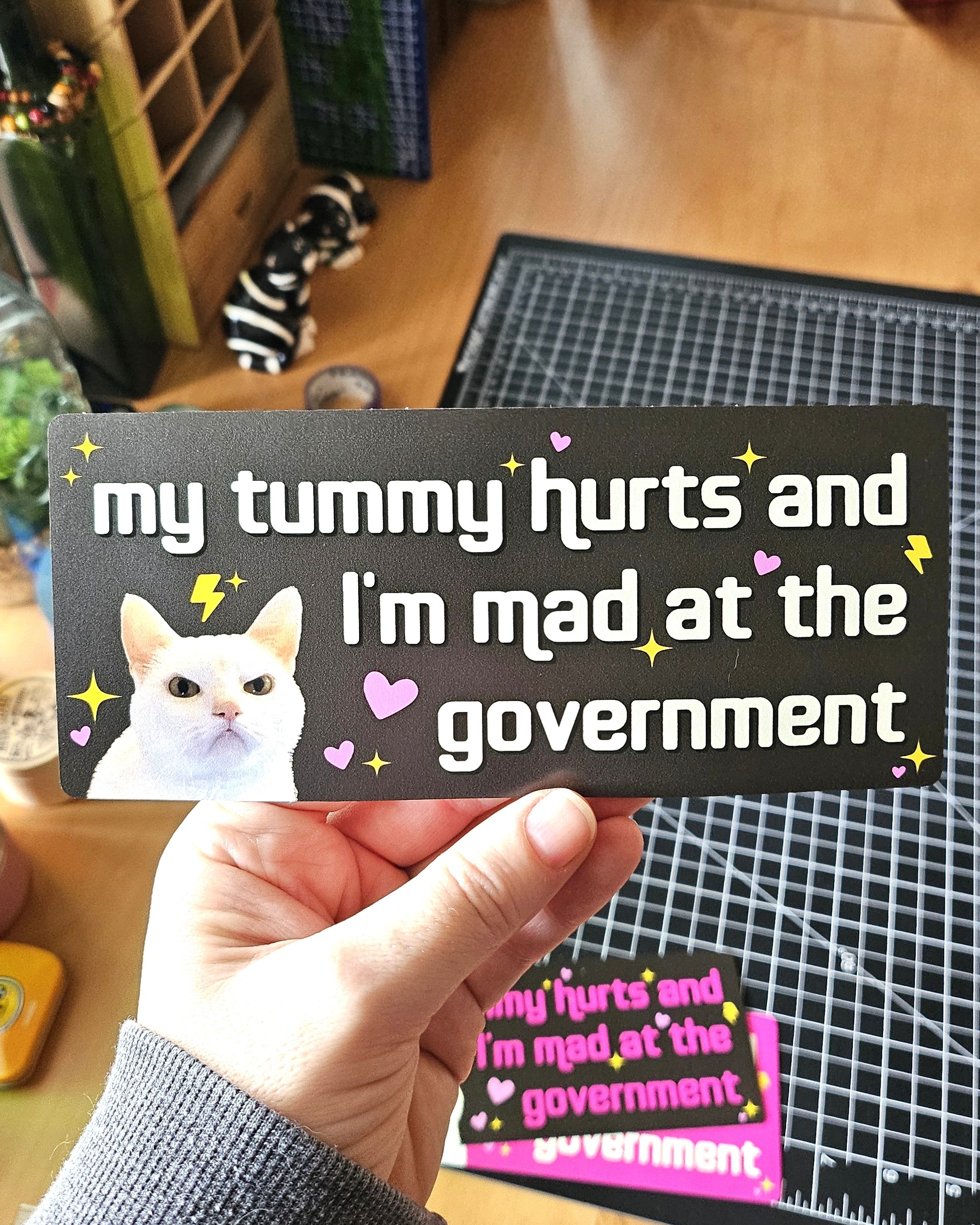 rectangular bumper stickers that say “my tummy hurts and I’m mad at the government,” shown in pink and dark gray color options with a serious white cat, hearts, sparkles, and lightning bolts.
