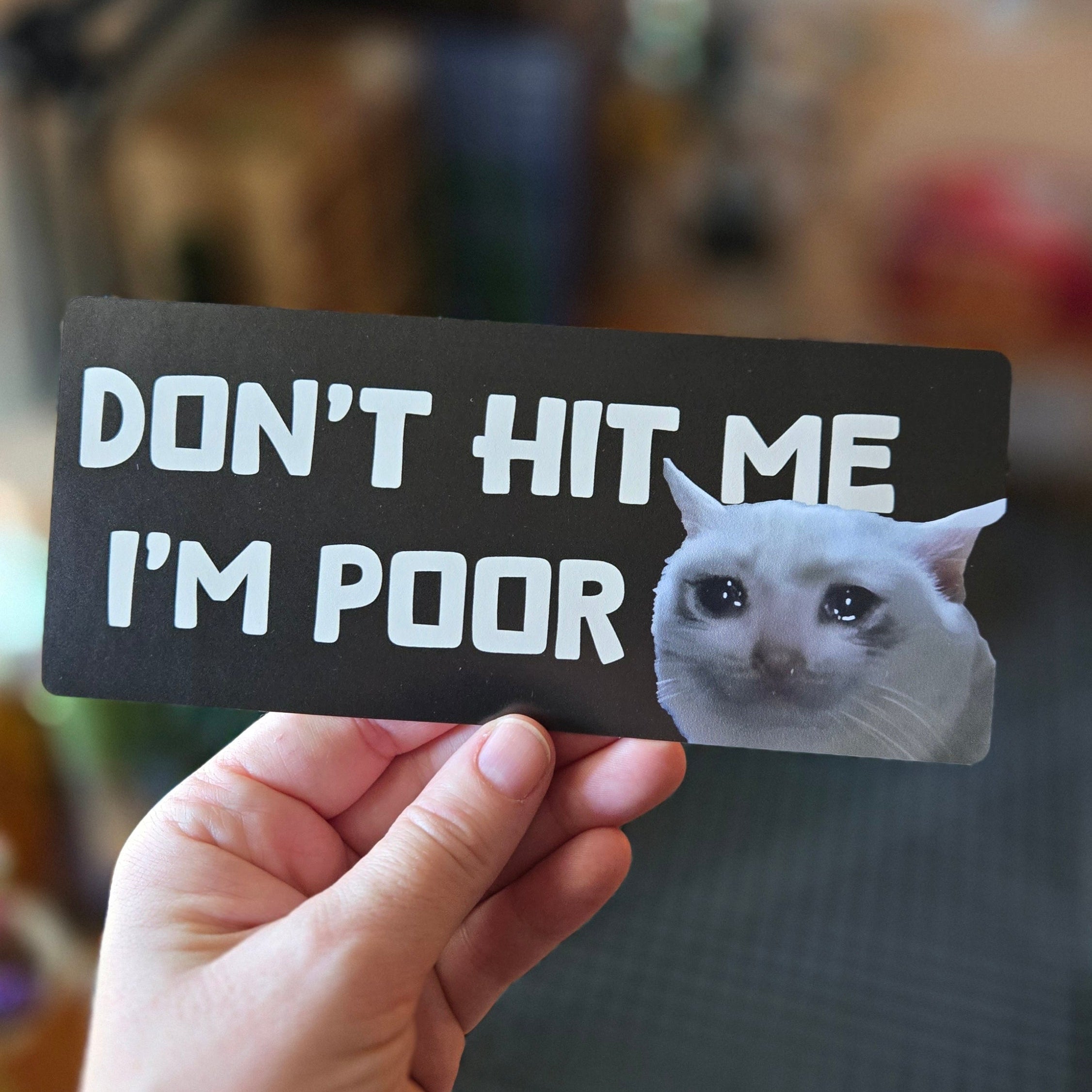 rectangular “Don’t Hit Me I’m Poor” bumper stickers,  black, featuring a teary-eyed white cat with bold cream lettering.
