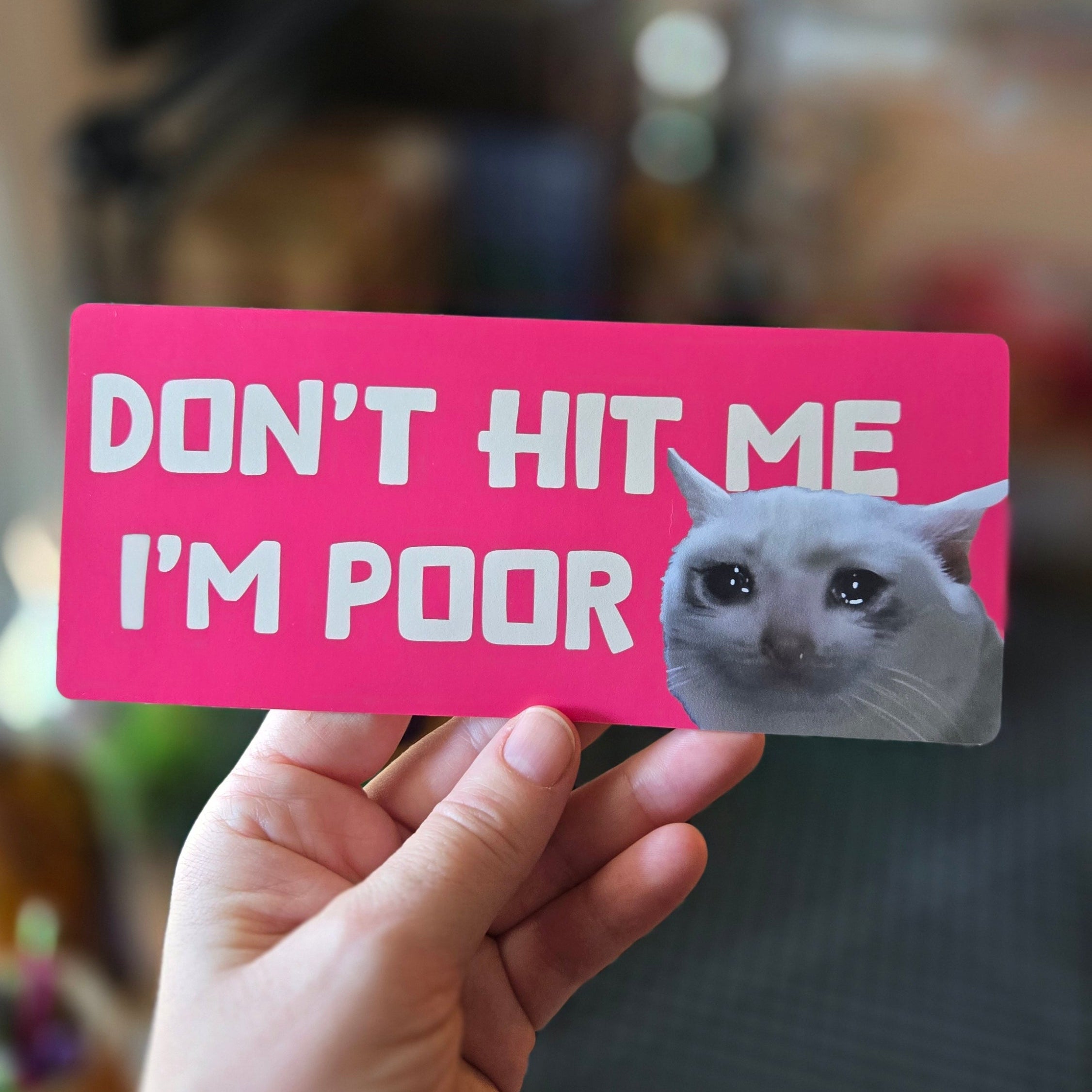 rectangular “Don’t Hit Me I’m Poor” bumper stickers, pink, featuring a teary-eyed white cat with bold cream lettering.
